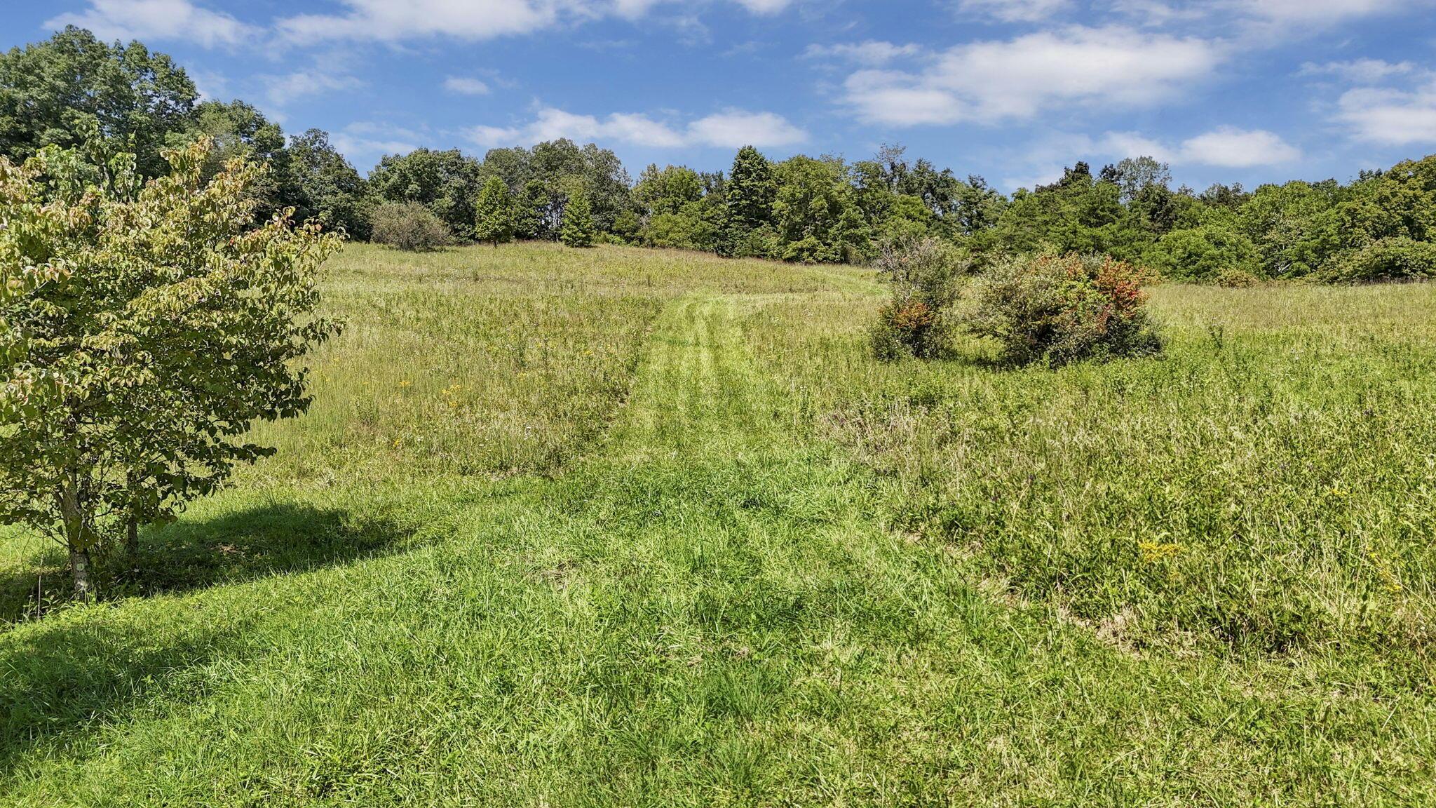 16451 Cox Road Property Photo 45
