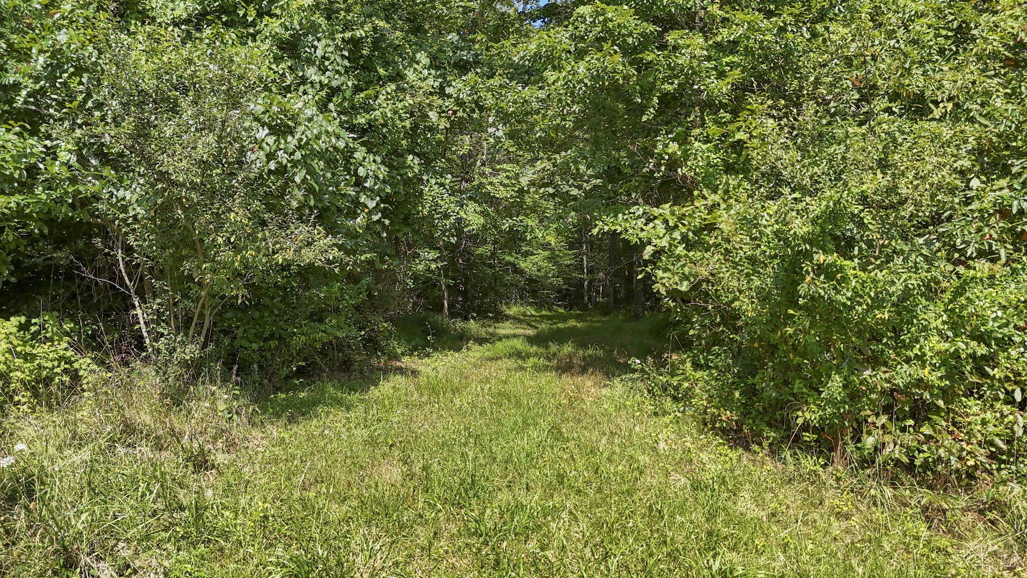 16451 Cox Road Property Photo 46