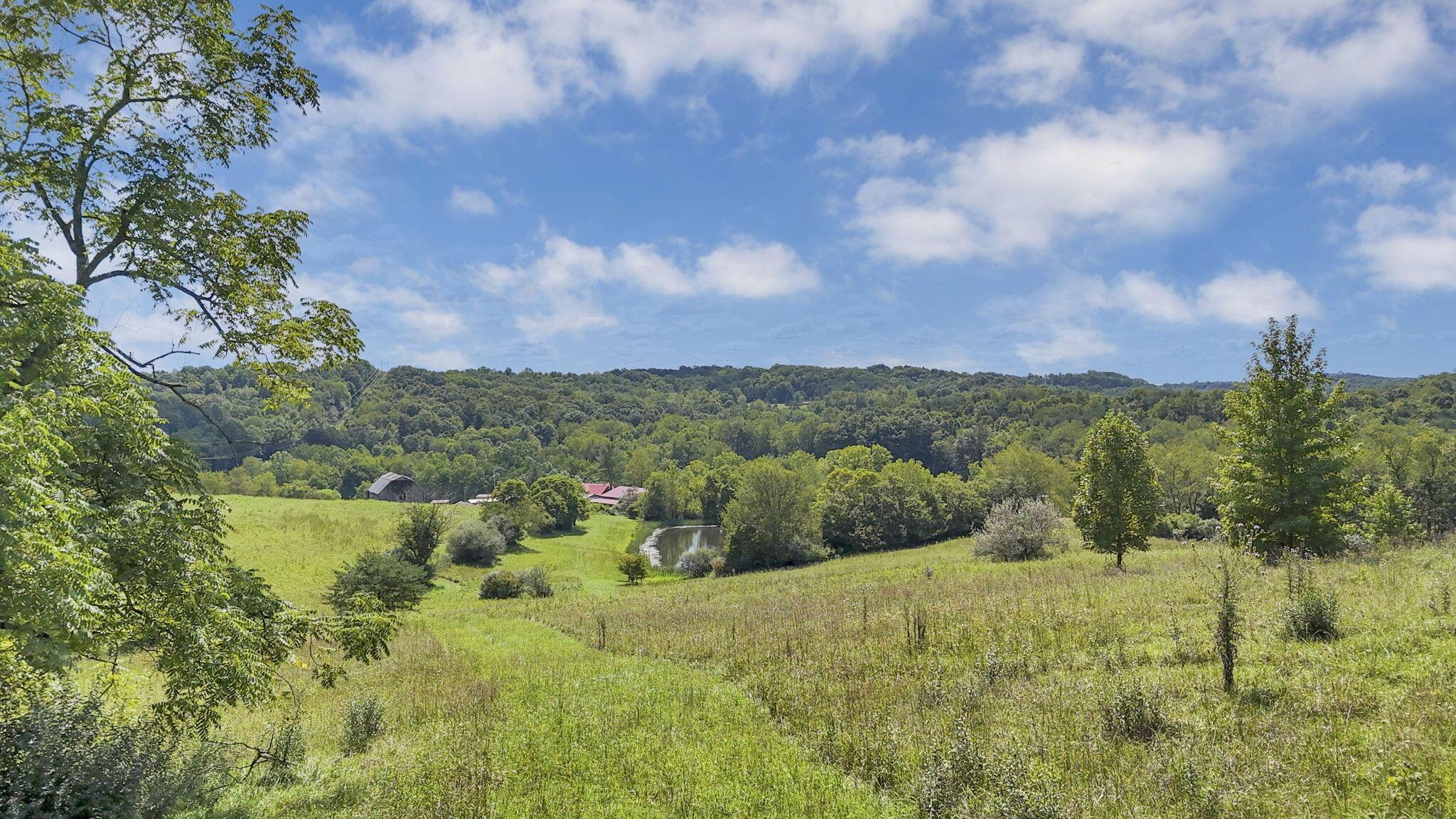 16451 Cox Road Property Photo 47