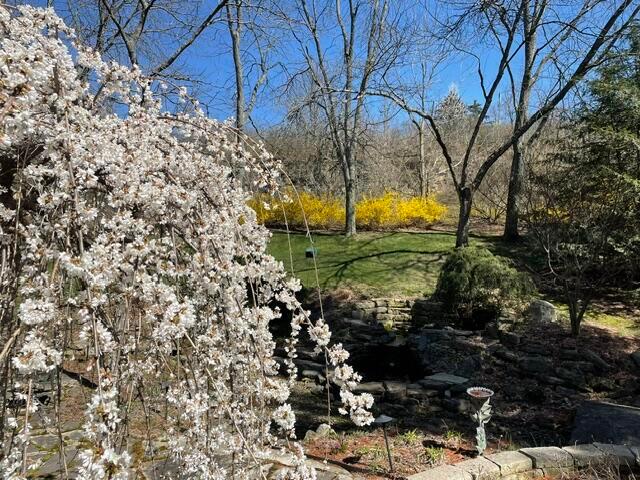 6468 Quarry Lane Property Photo 43