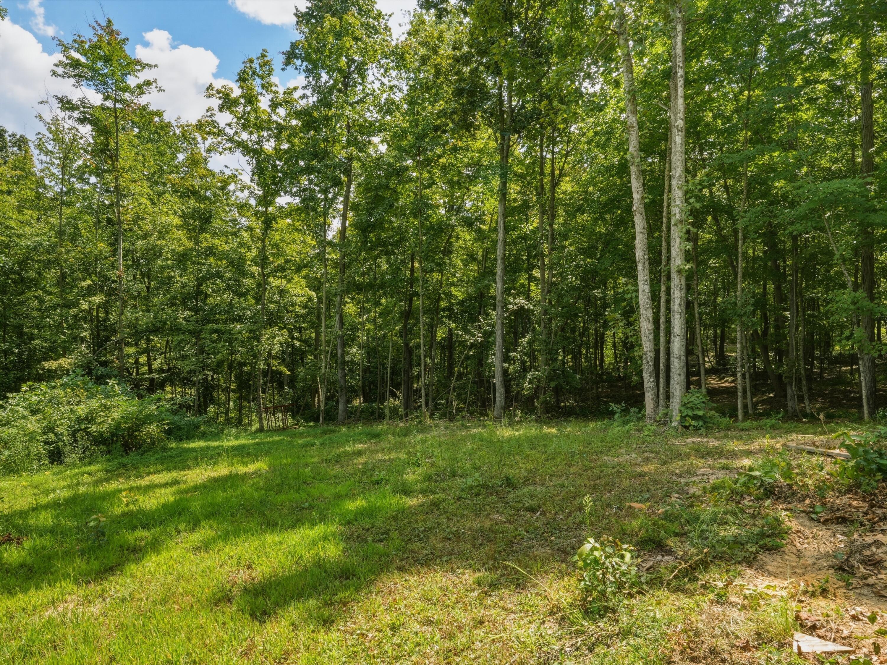 770 Strutt Road Property Photo 22