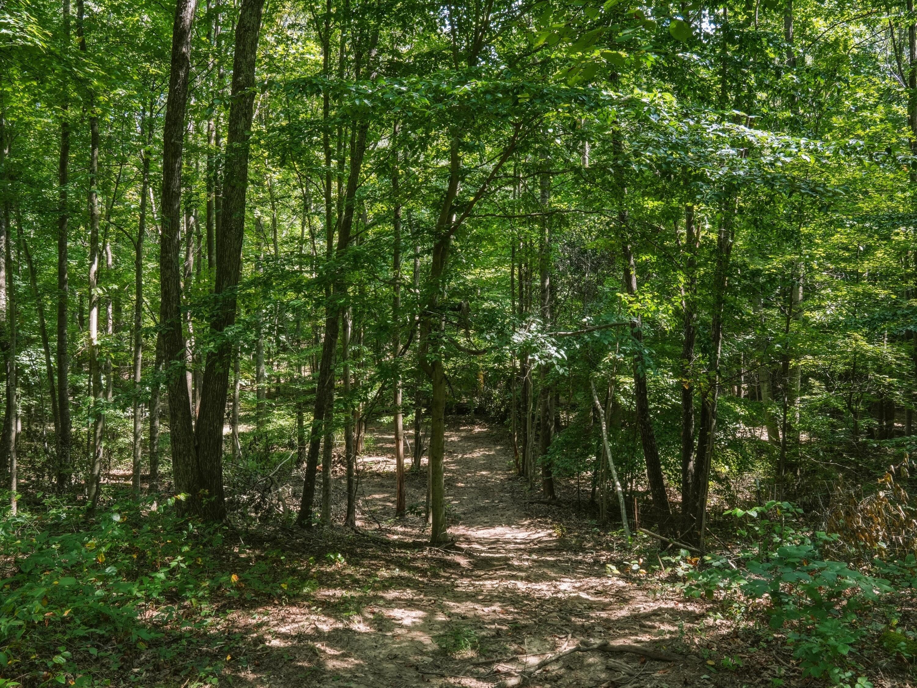770 Strutt Road Property Photo 24