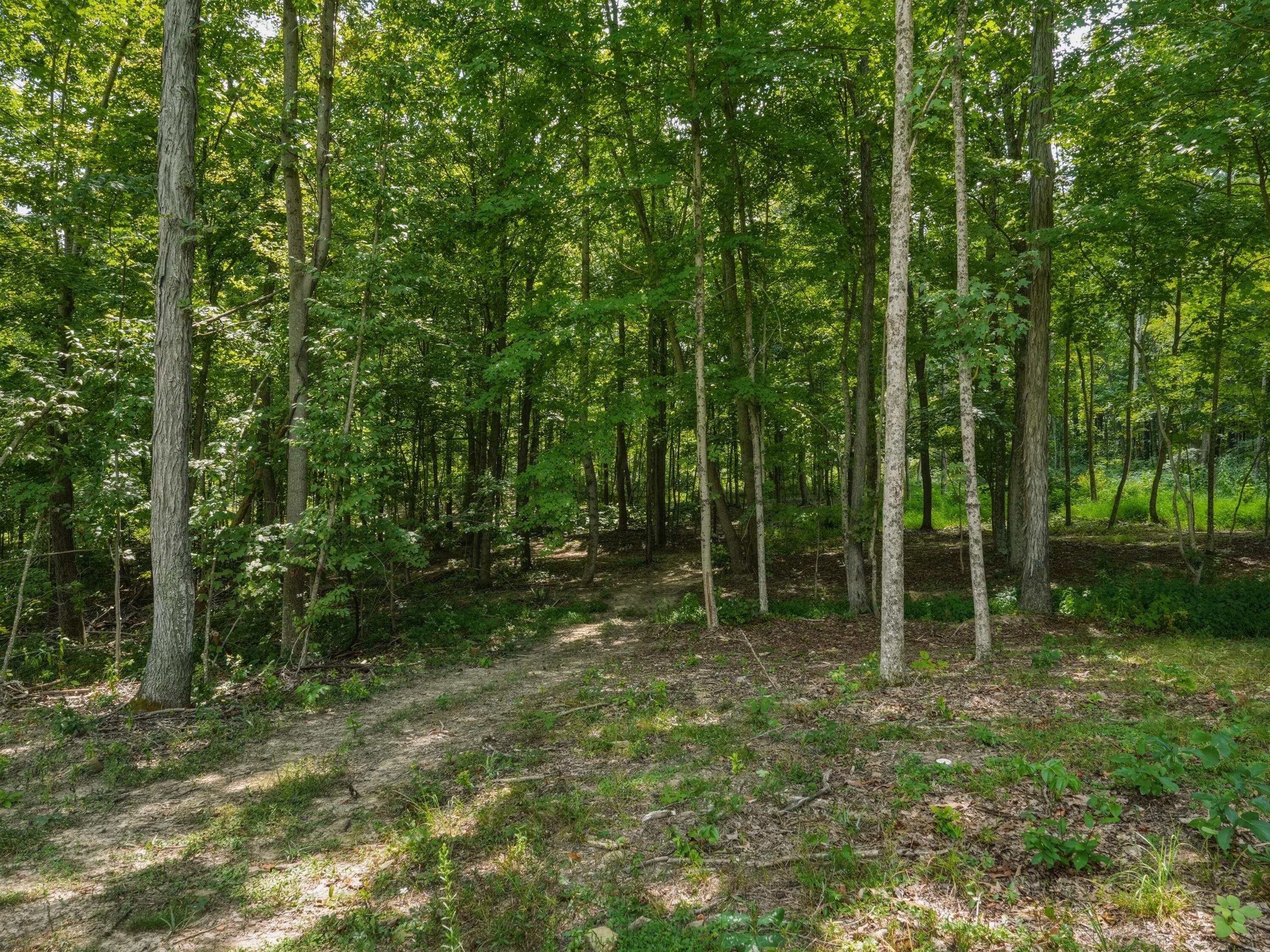 770 Strutt Road Property Photo 26