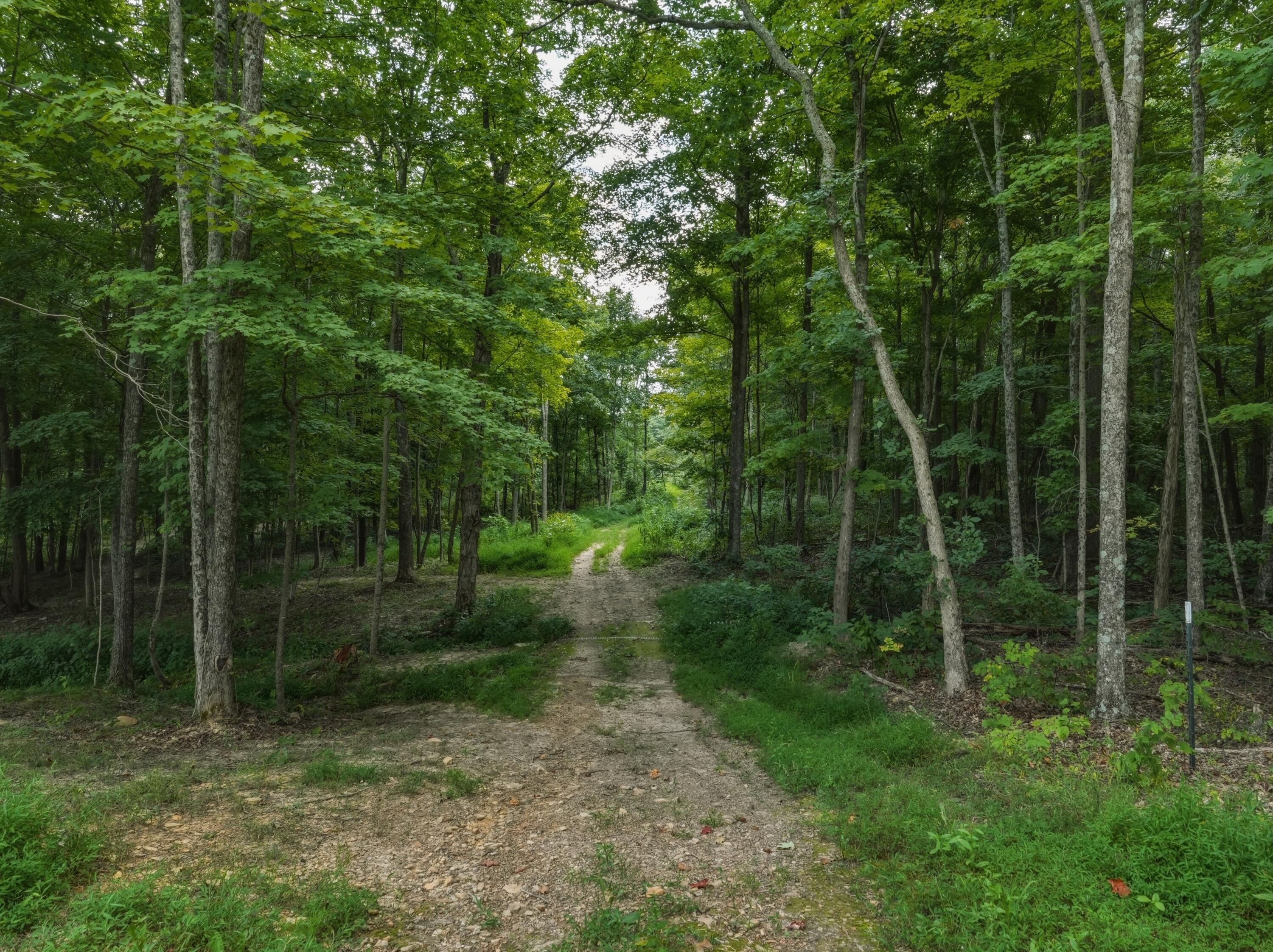770 Strutt Road Property Photo 28