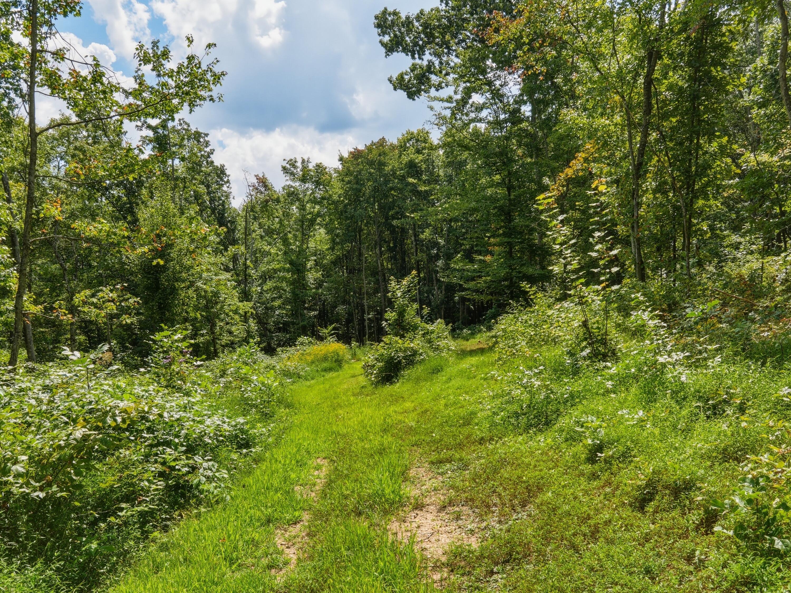 770 Strutt Road Property Photo 29