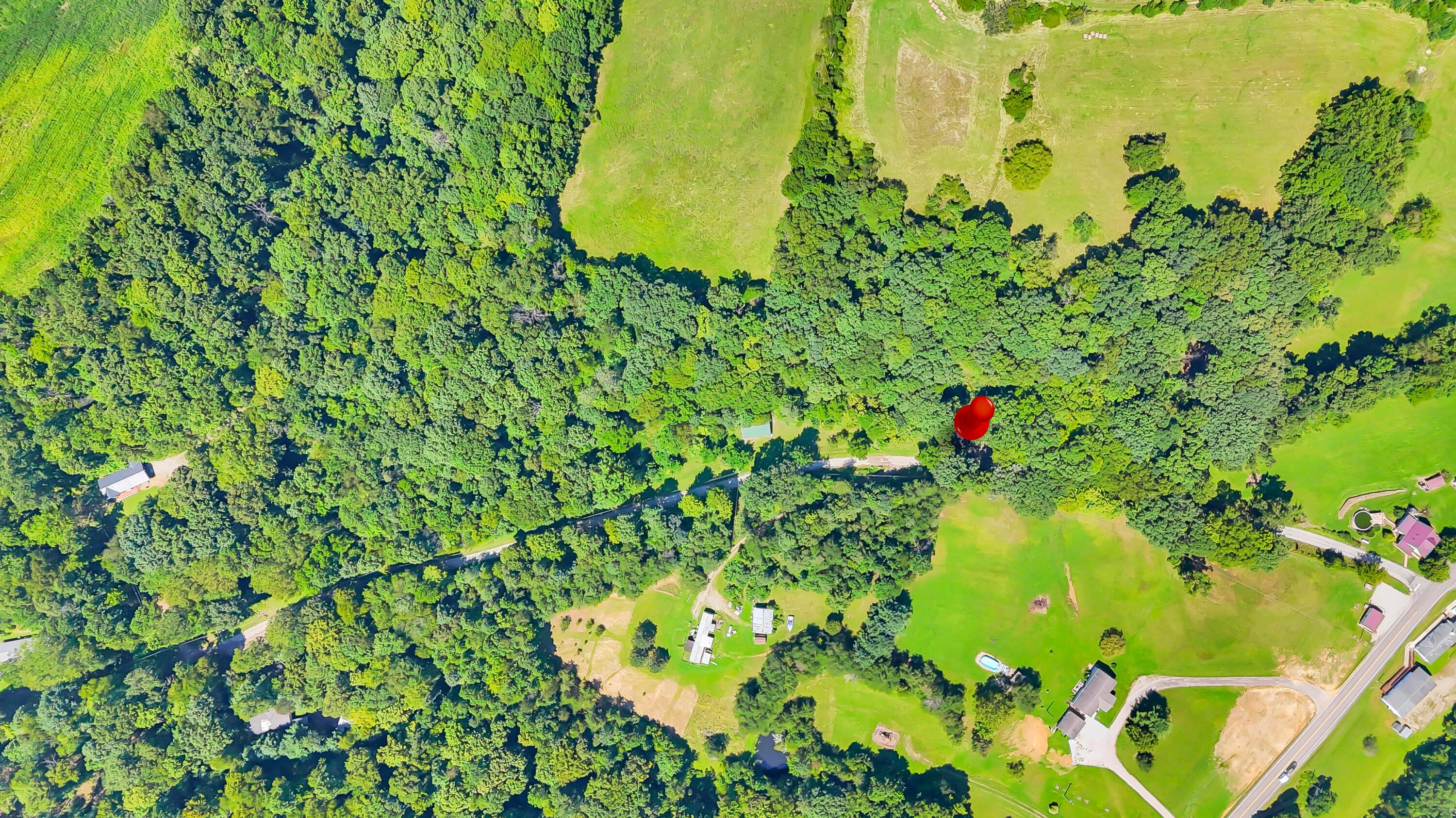 9126 Walnut Dowler Road Property Photo 3