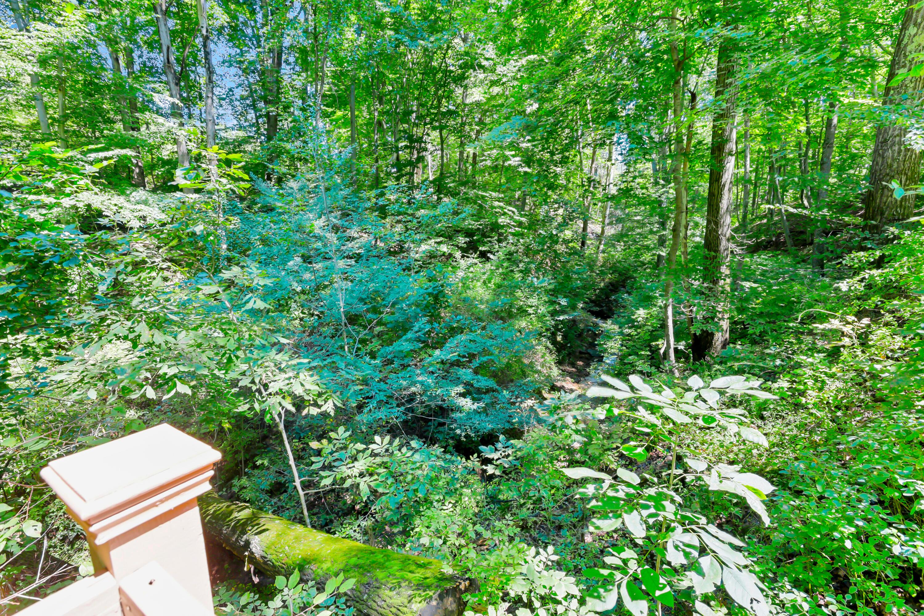 9126 Walnut Dowler Road Property Photo 36