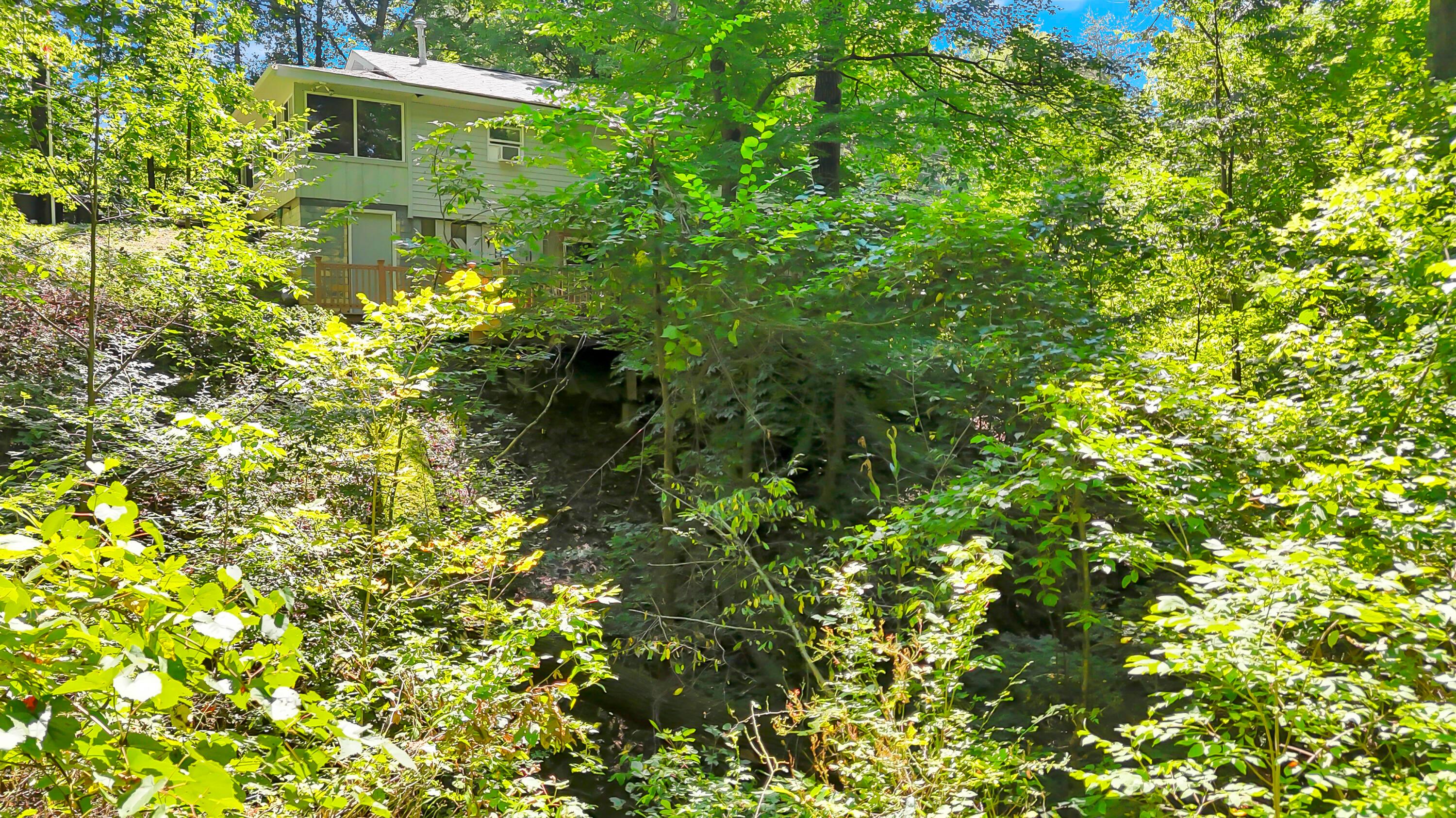 9126 Walnut Dowler Road Property Photo 37