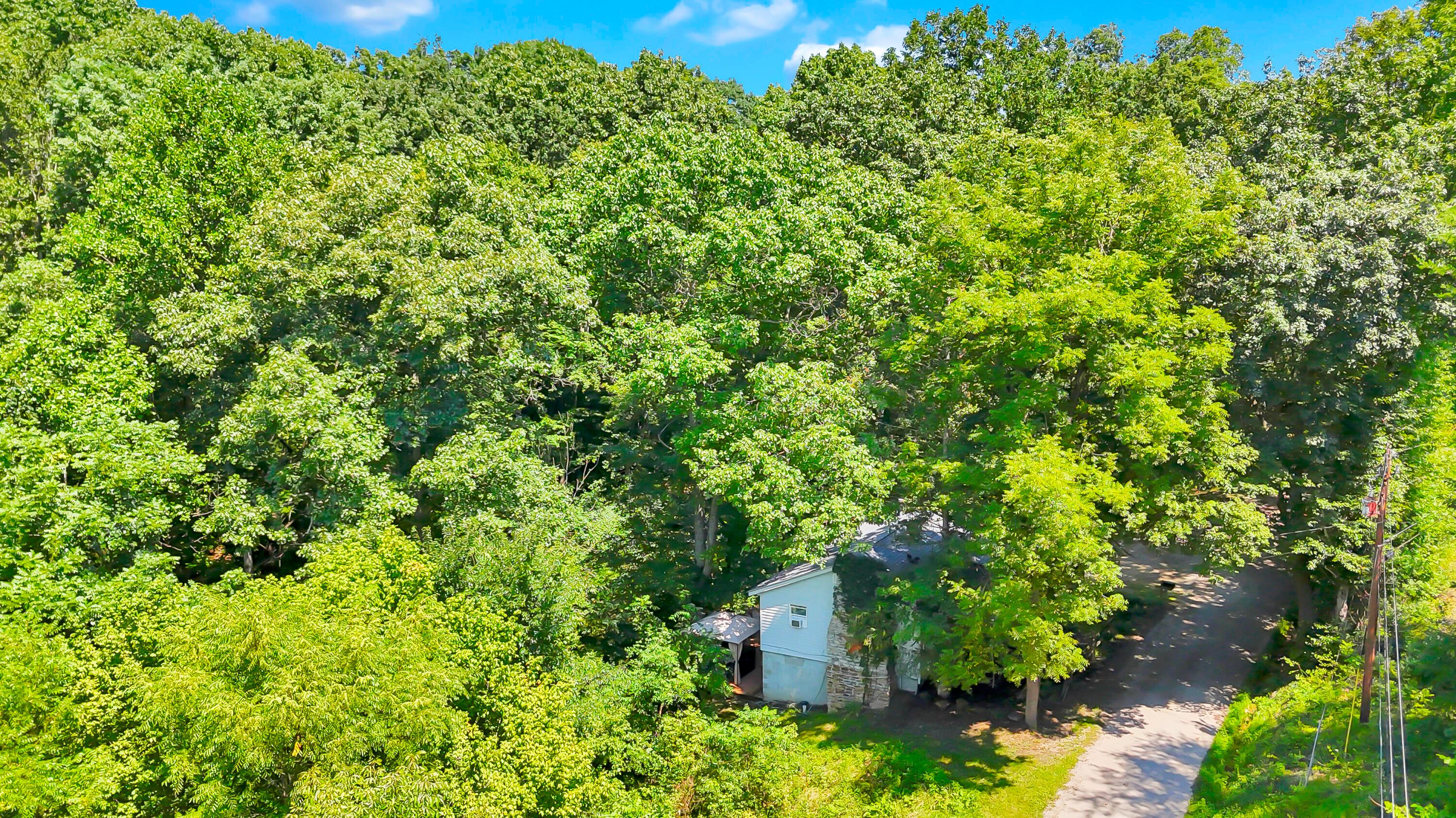 9126 Walnut Dowler Road Property Photo 39