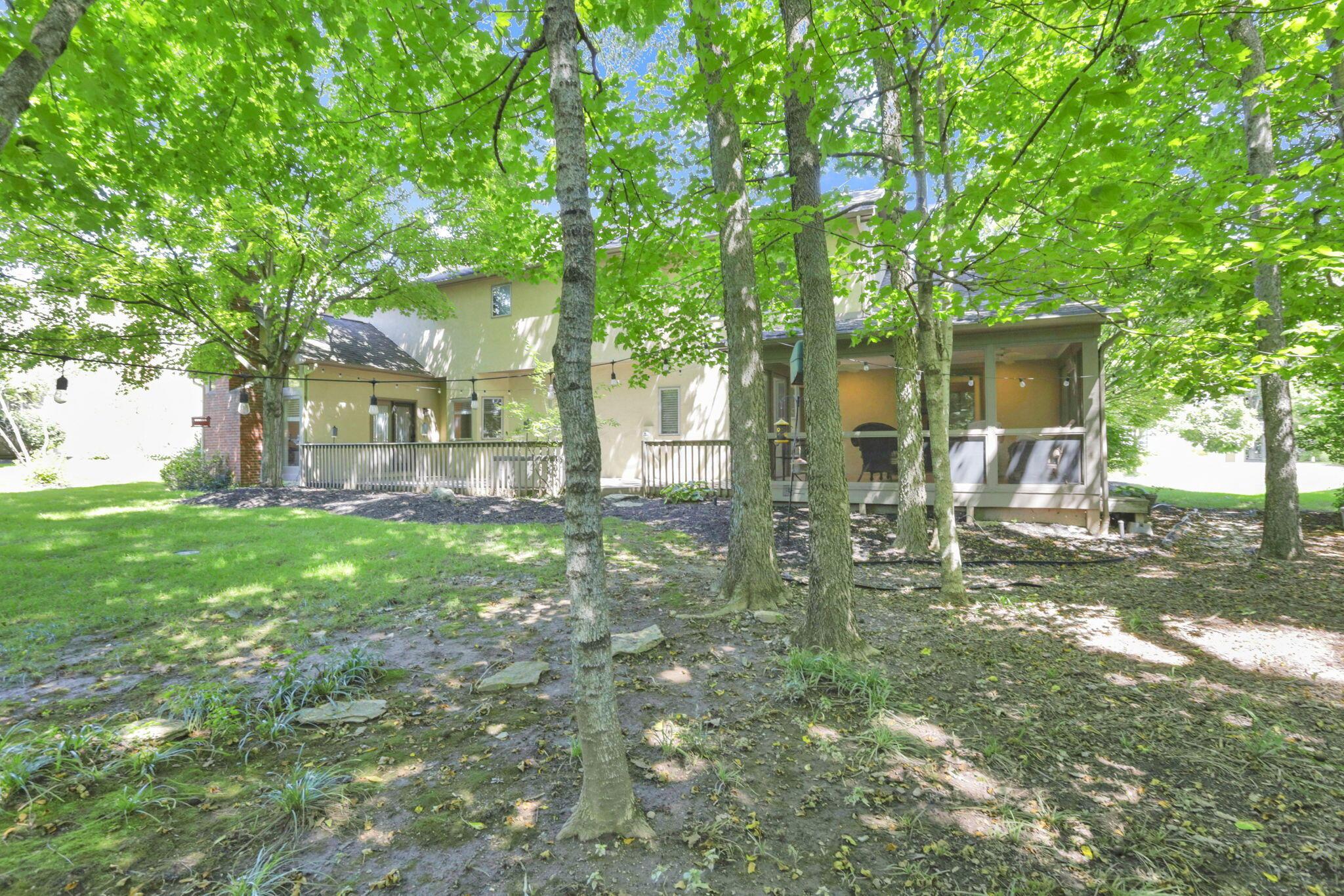 5205 Forest Run Drive Property Photo 63
