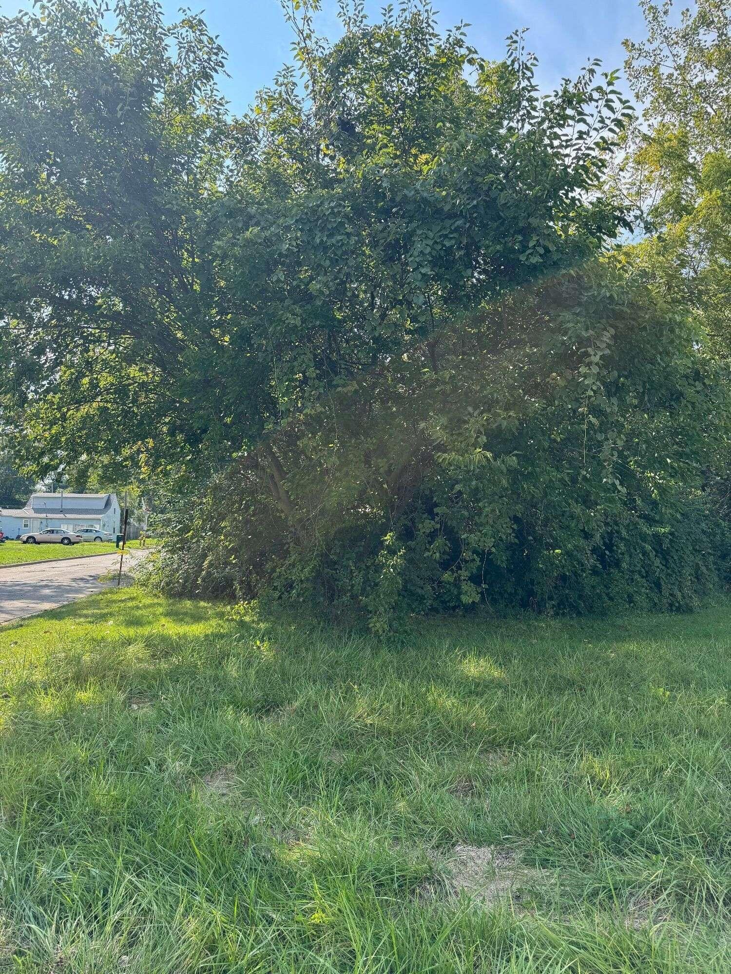 0 1st Avenue Property Photo 3