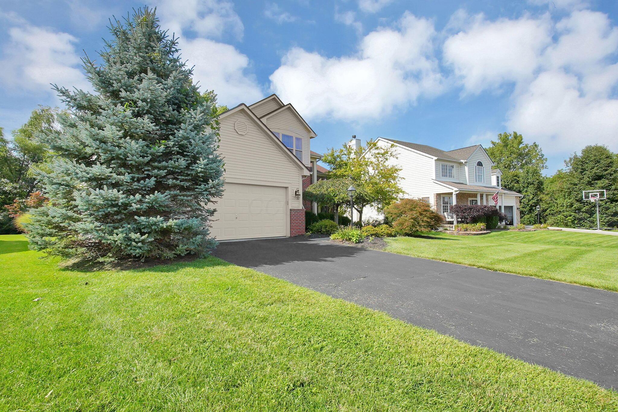 116 Runkle Drive