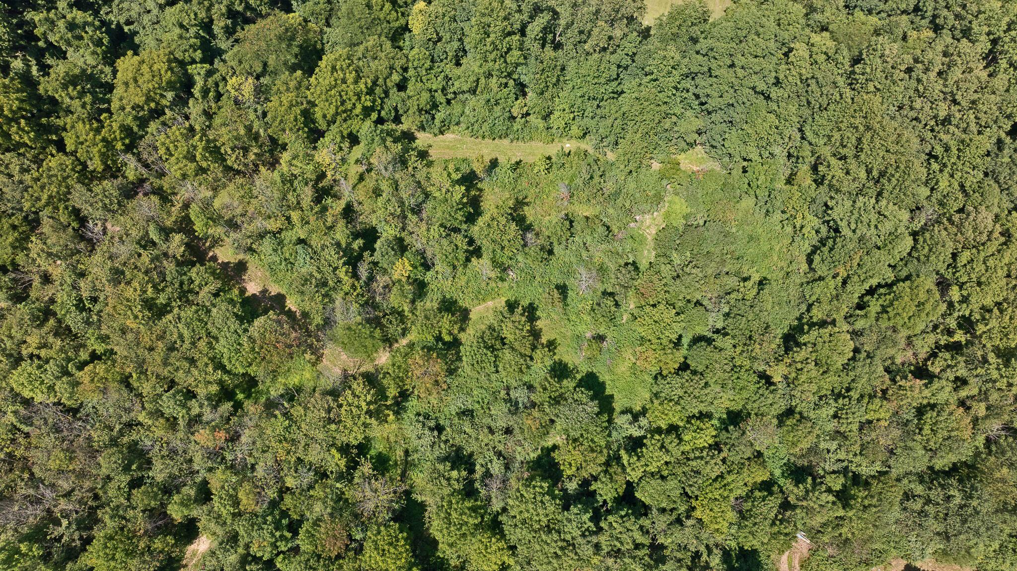 0 State Route, 61 Property Photo 3