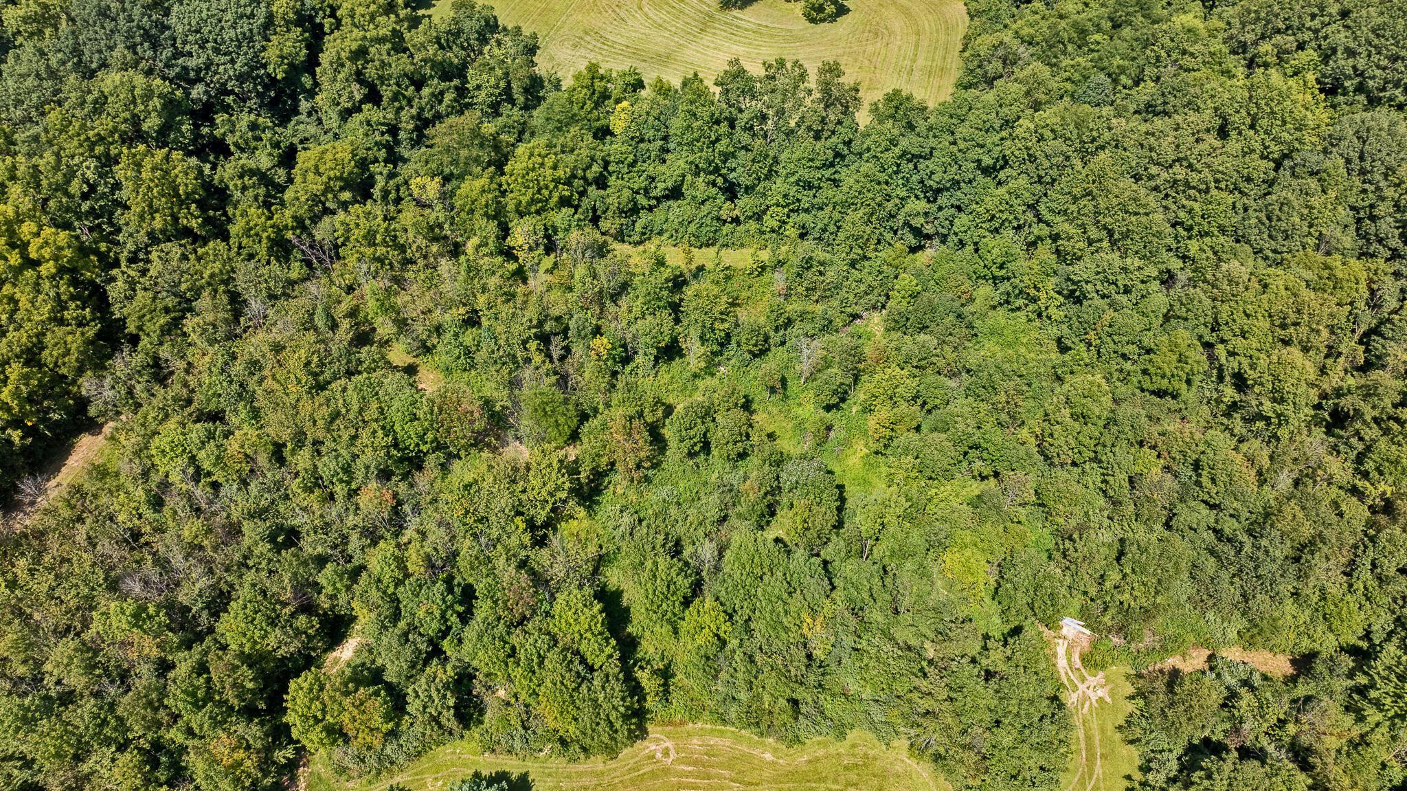 0 State Route, 61 Property Photo 6