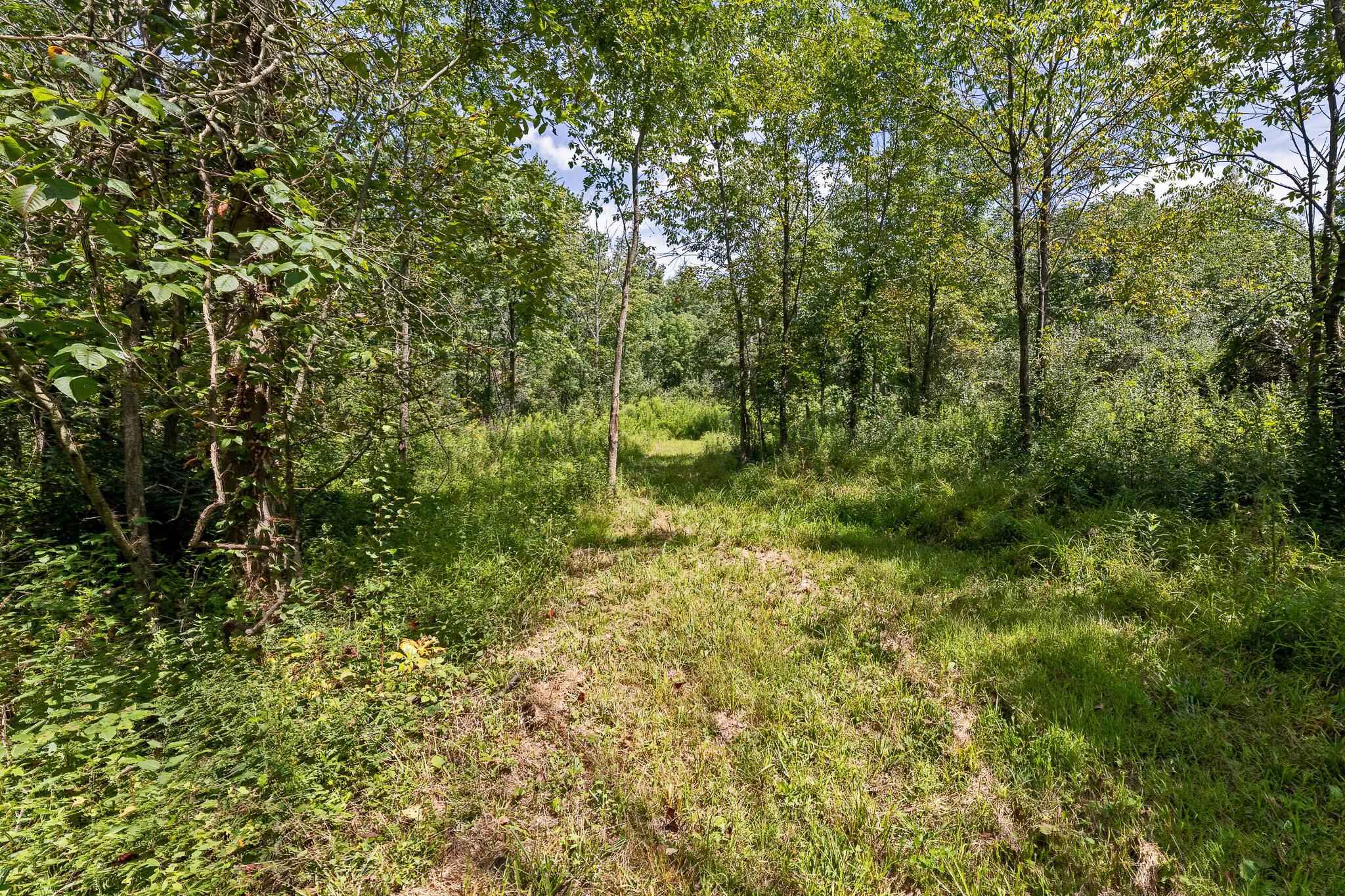 0 State Route, 61 Property Photo 15