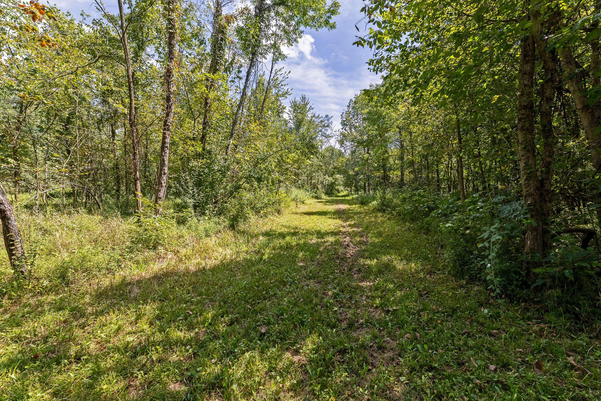 0 State Route, 61 Property Photo 17