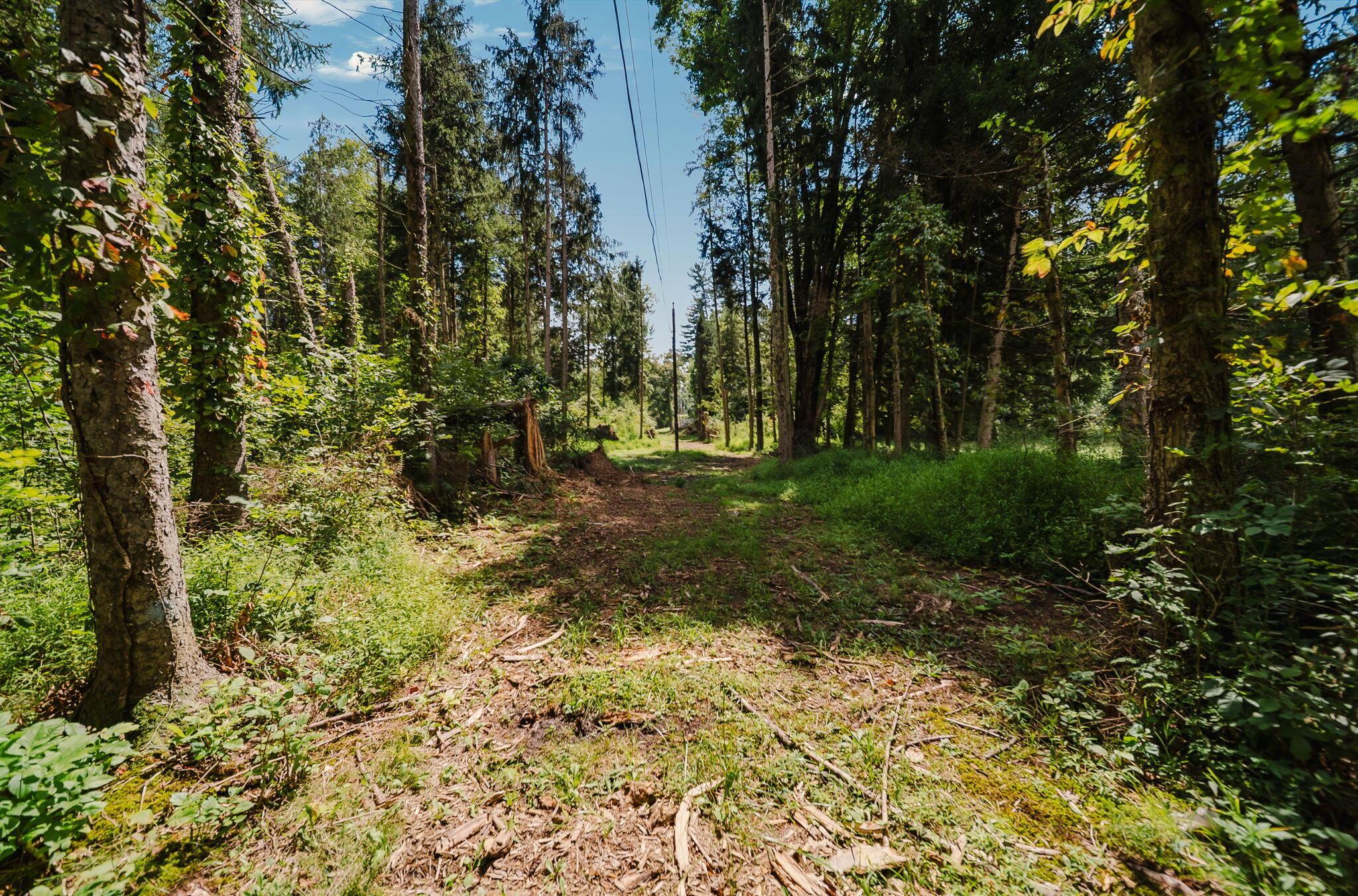 226032789 Property Photo 16