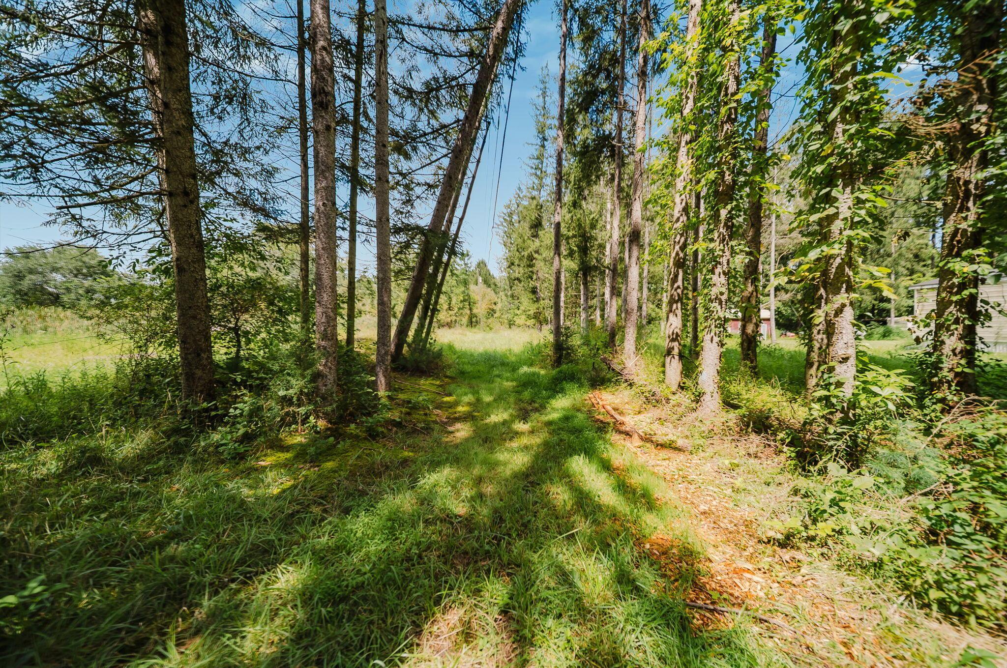 226032789 Property Photo 17