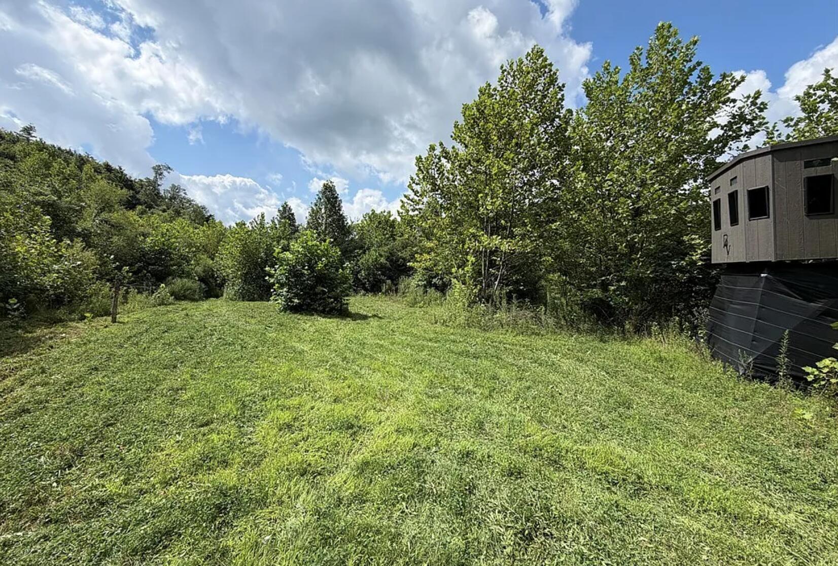 0 County Road 181 Property Photo 2