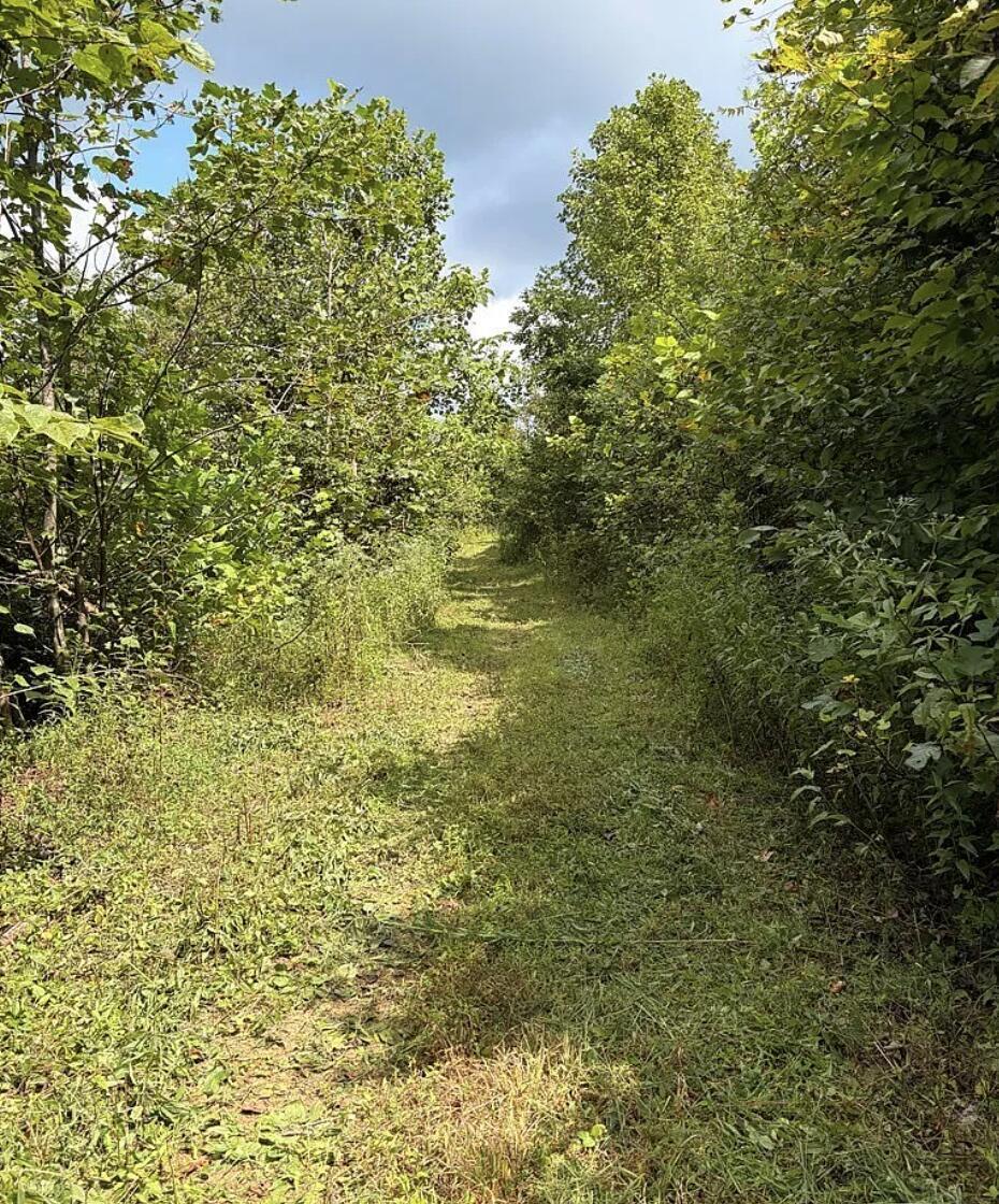 0 County Road 181 Property Photo 14