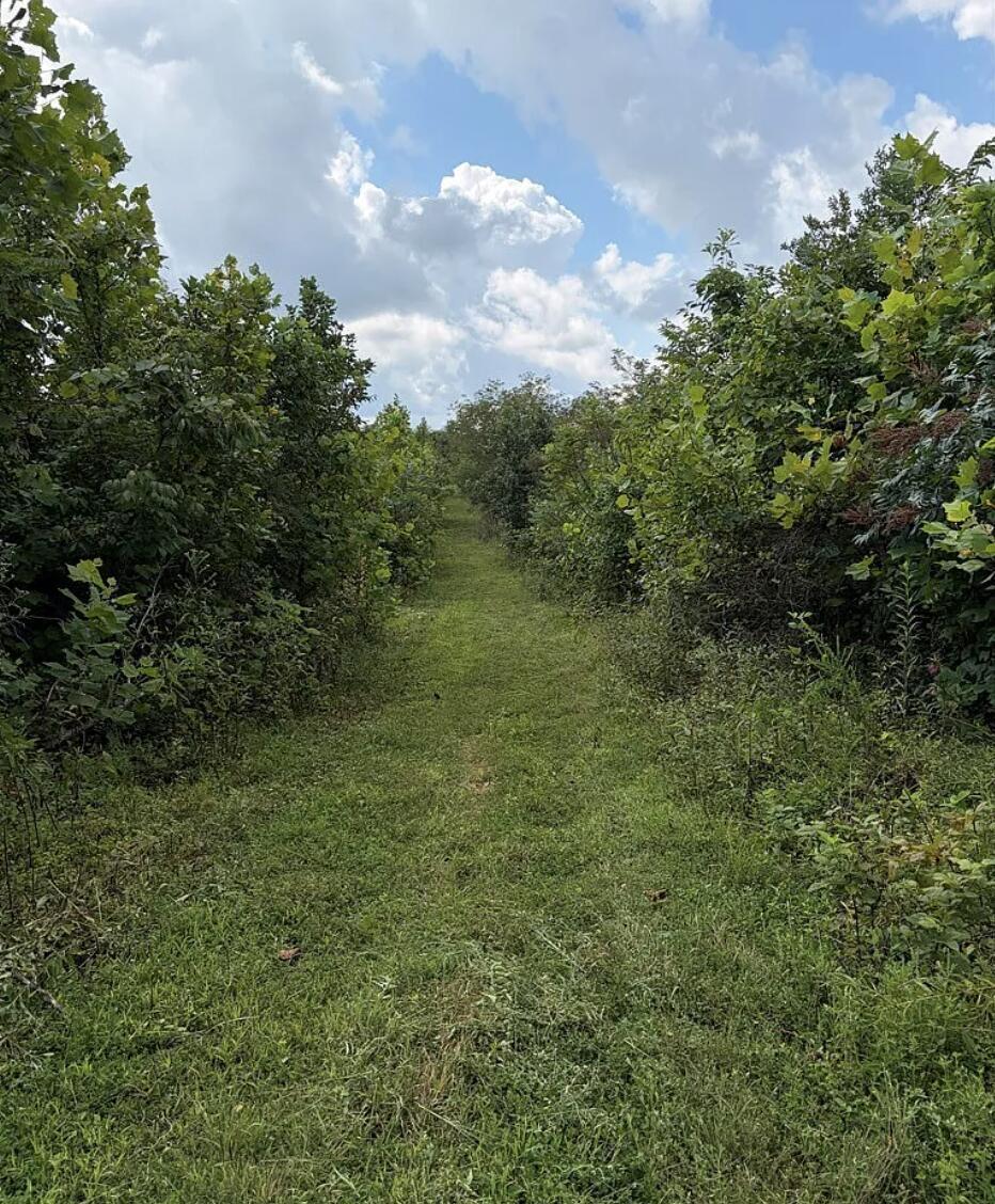 0 County Road 181 Property Photo 16