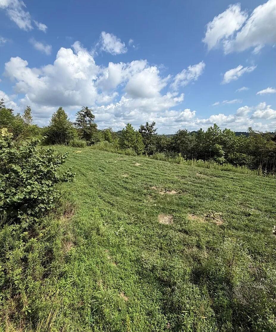 0 County Road 181 Property Photo 19