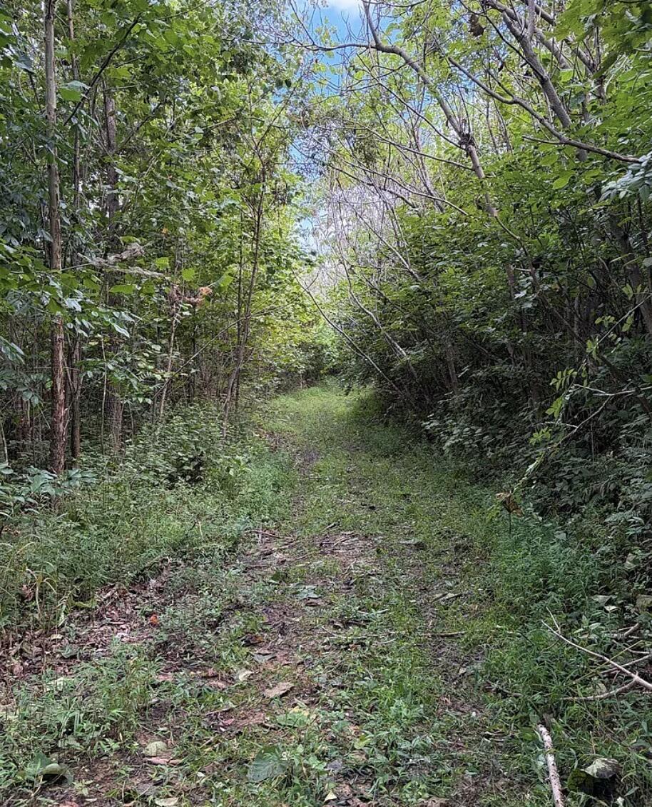 0 County Road 181 Property Photo 27