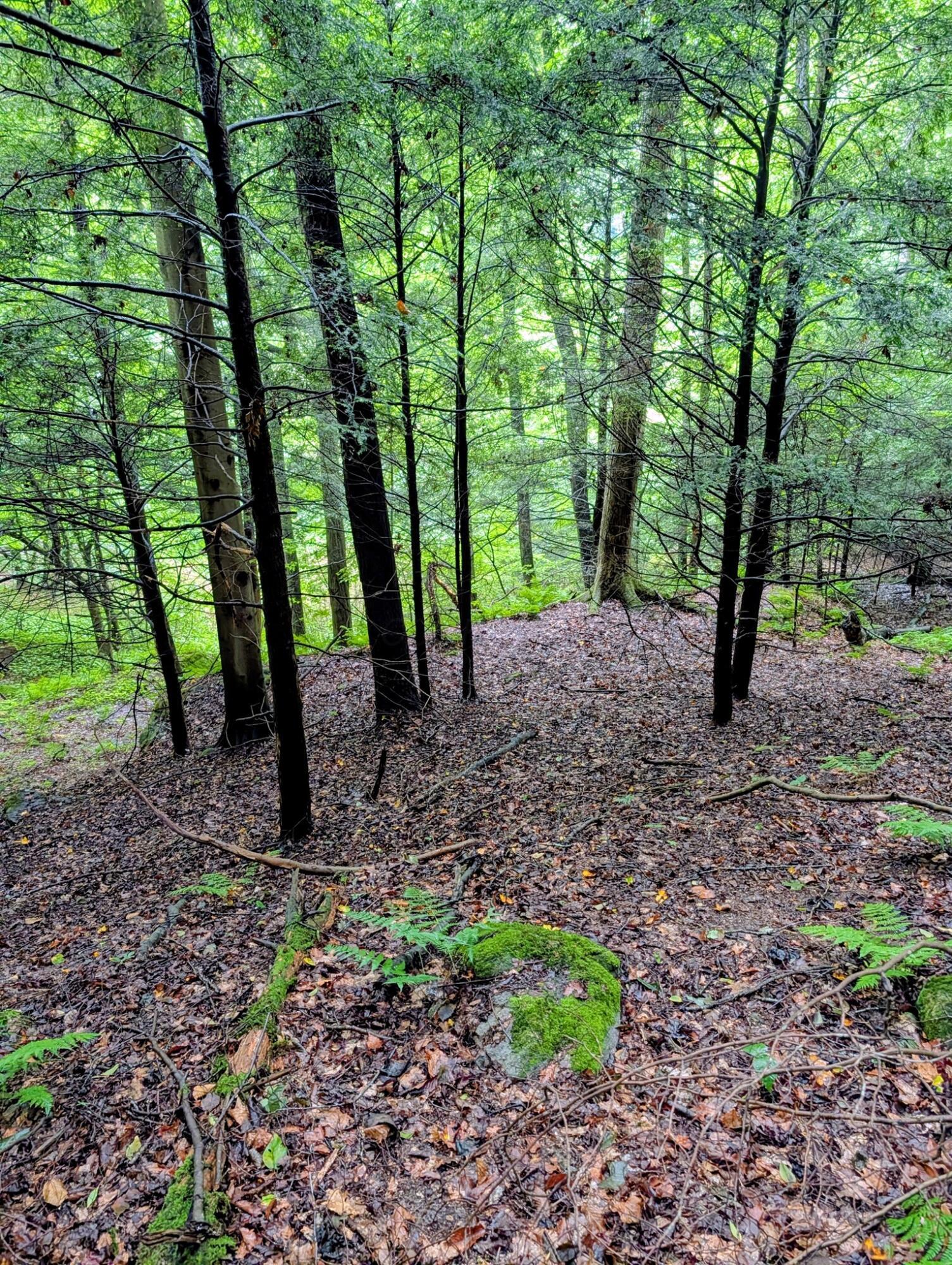 24639 Ohio 180 Property Photo 11