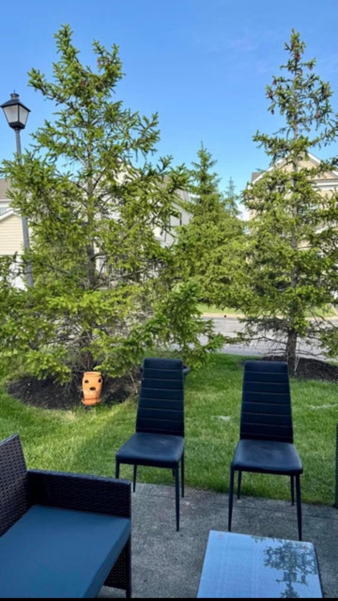 5182 Horseshoe Falls Drive, 5a Property Photo 47