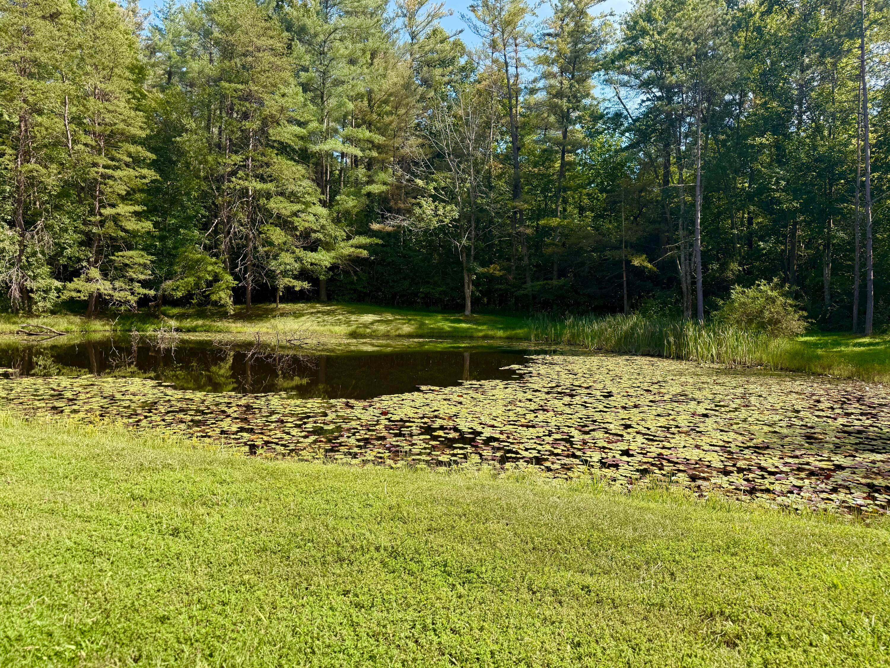 10654 State Route 139 Property Photo 26