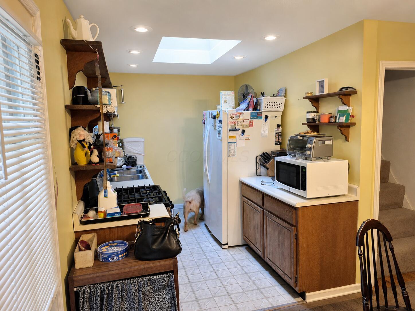 1111 Lang Road Property Photo 5