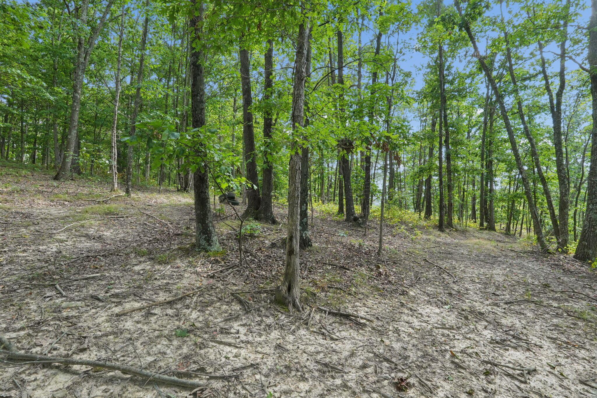 1113 Wickline Road Property Photo 42