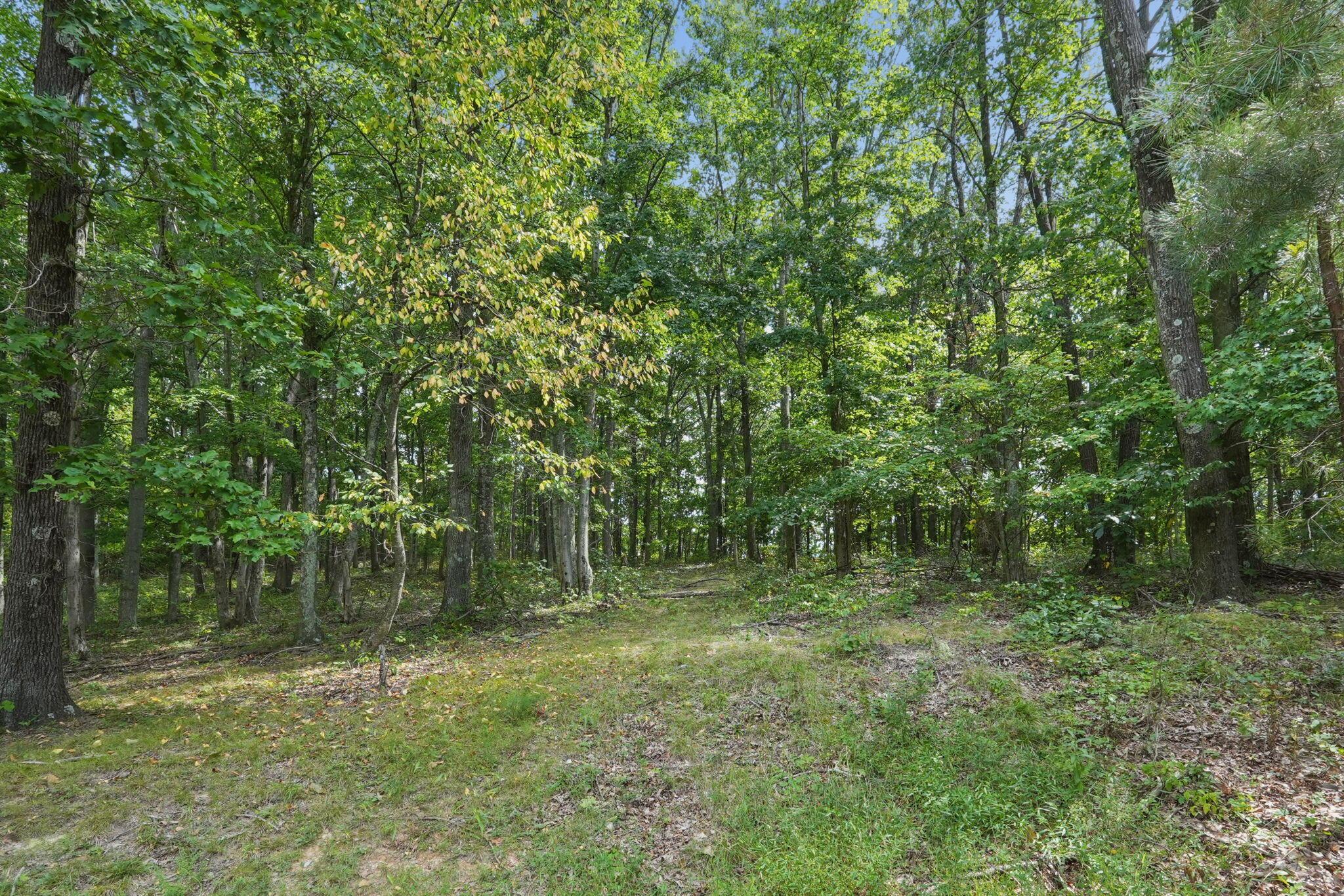1113 Wickline Road Property Photo 45