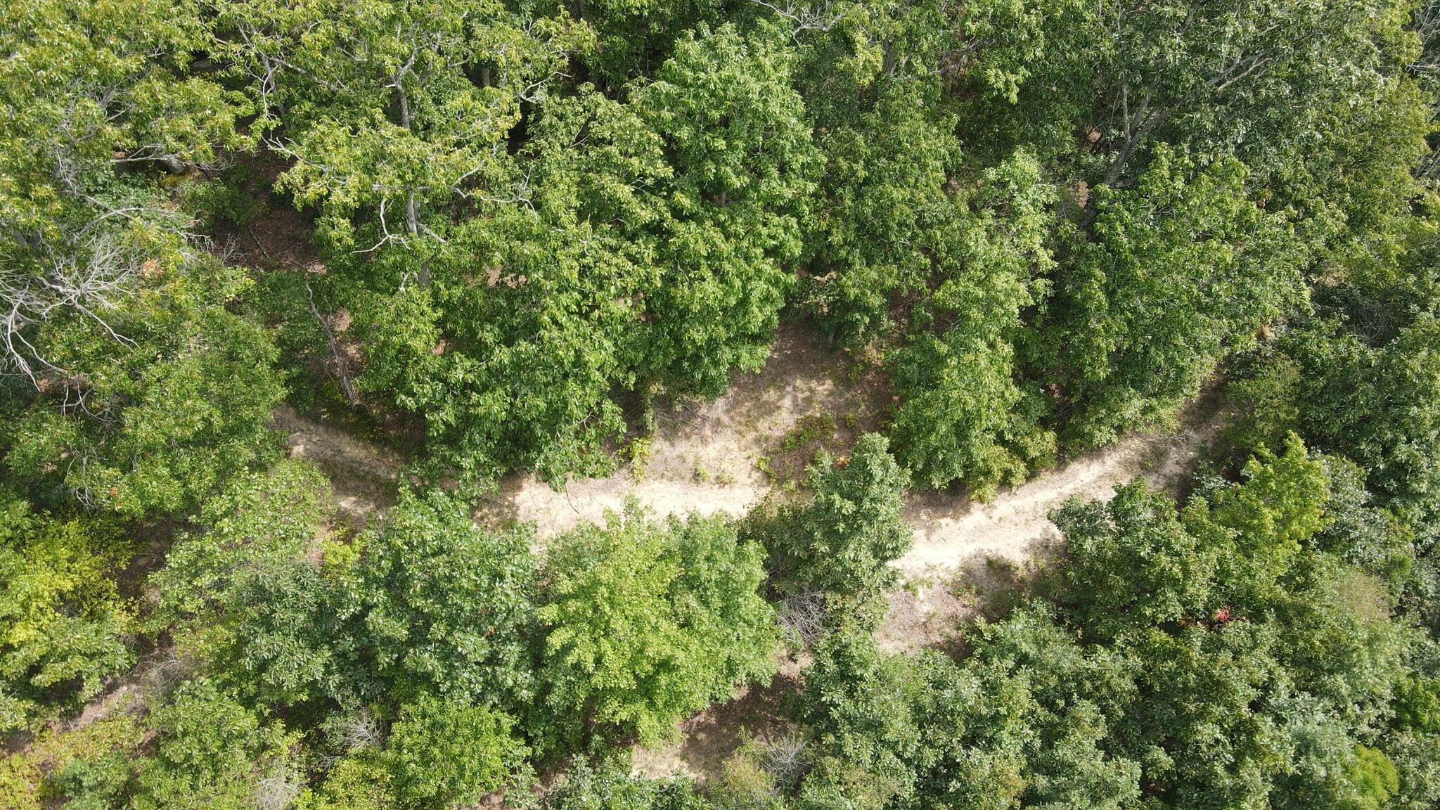 1113 Wickline Road Property Photo 50