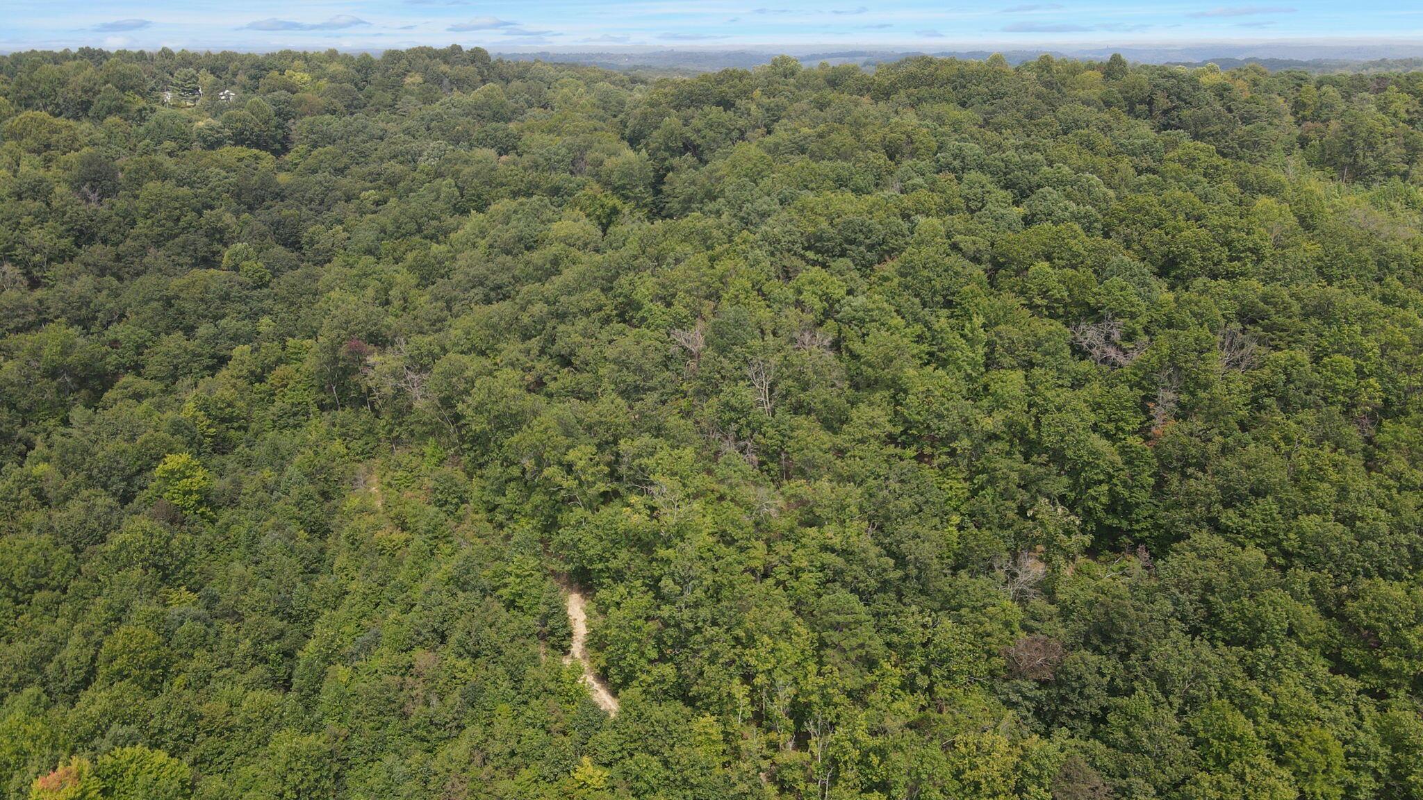 1113 Wickline Road Property Photo 52