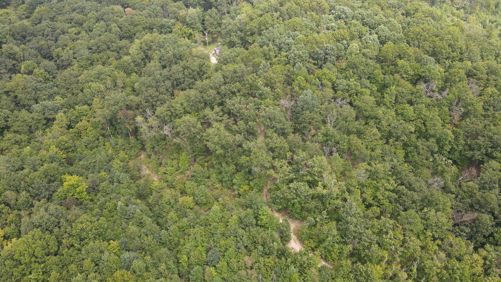 1113 Wickline Road Property Photo 53