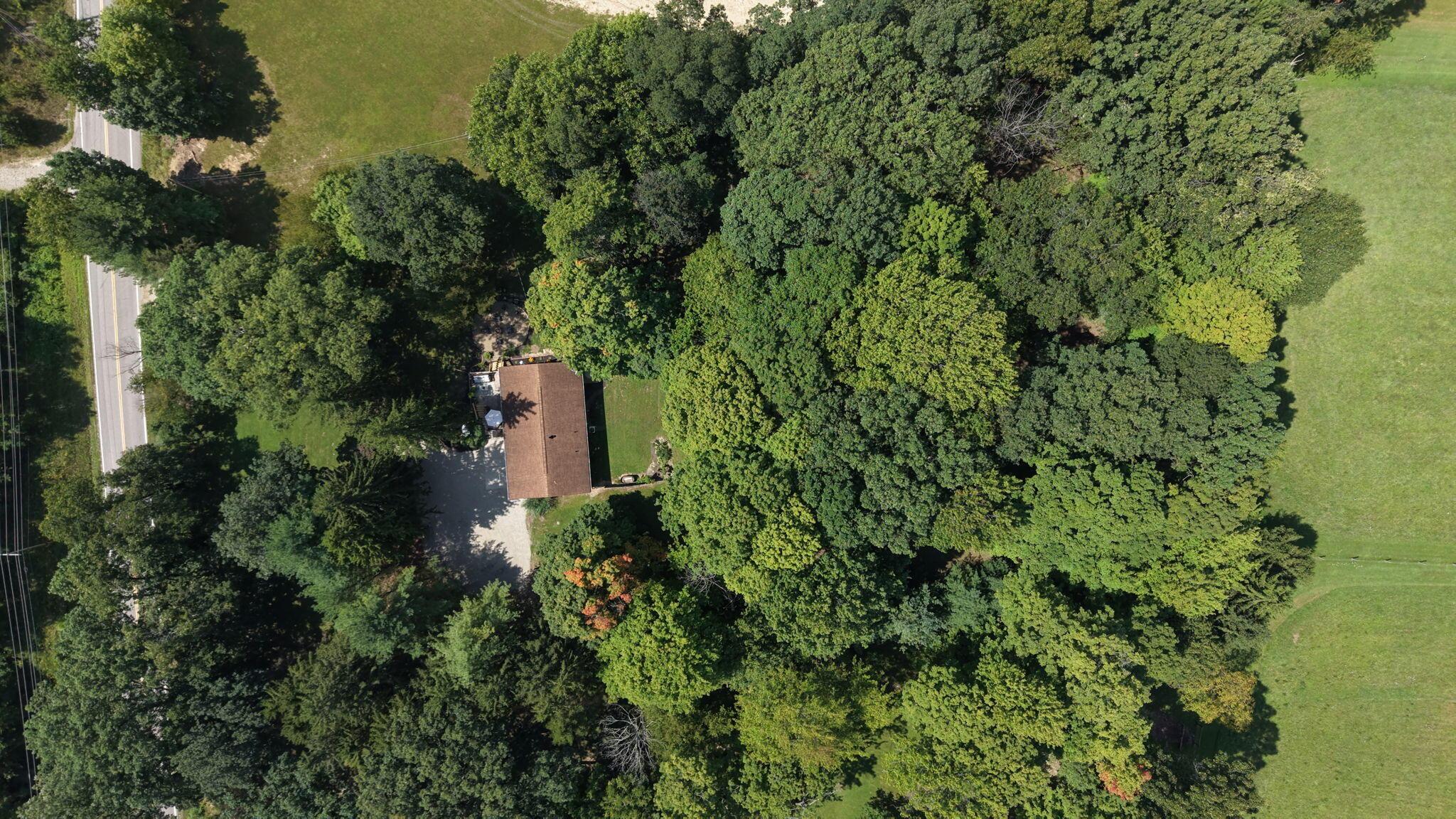 11227 Blue Jay Road Property Photo 36
