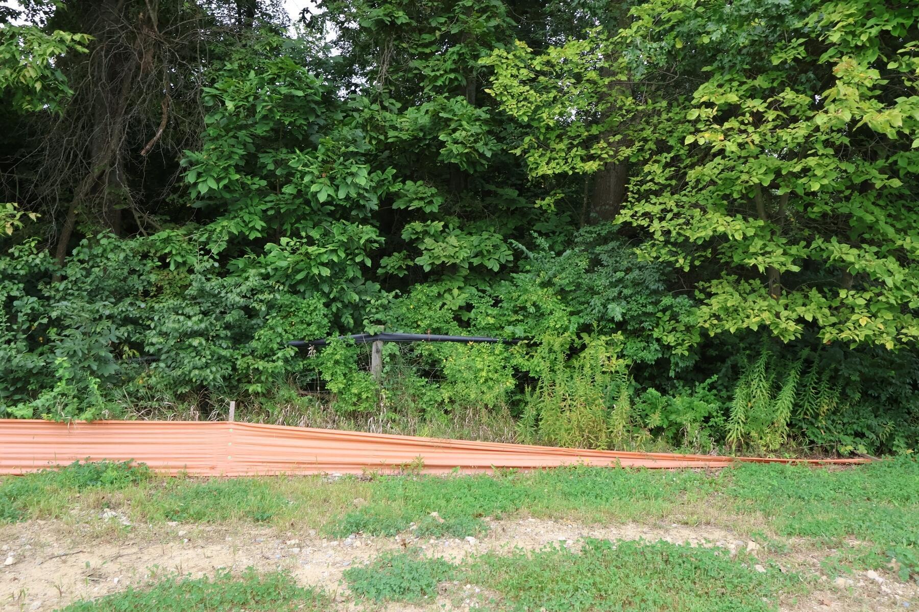 4525 Nonius Drive Property Photo 11