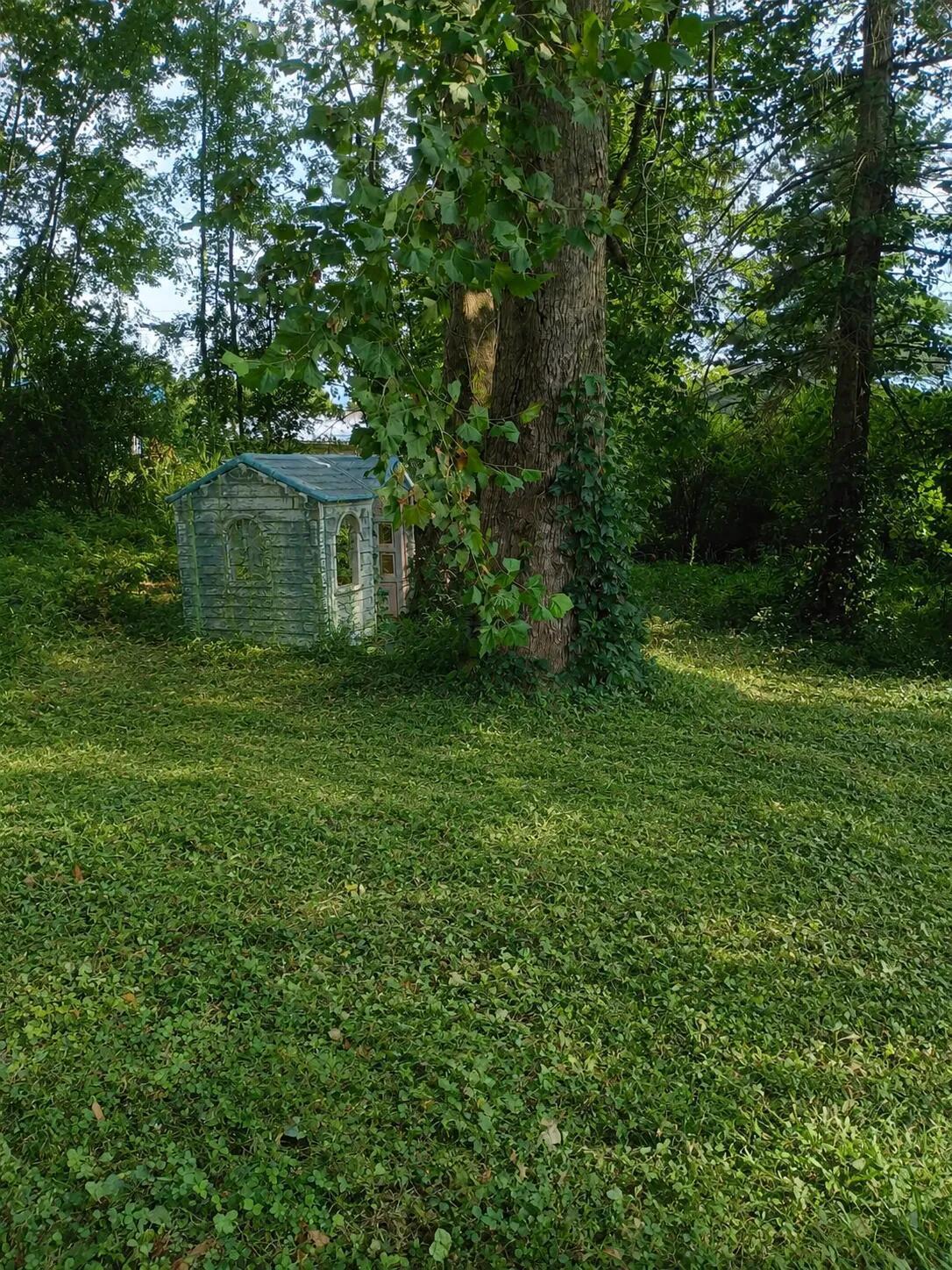226033257 Property Photo 26