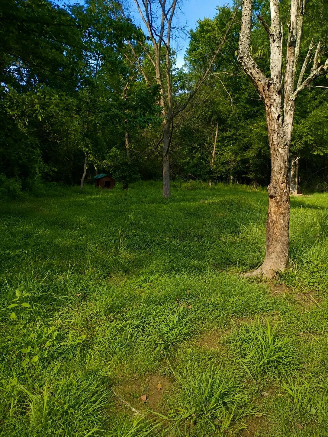 226033257 Property Photo 27