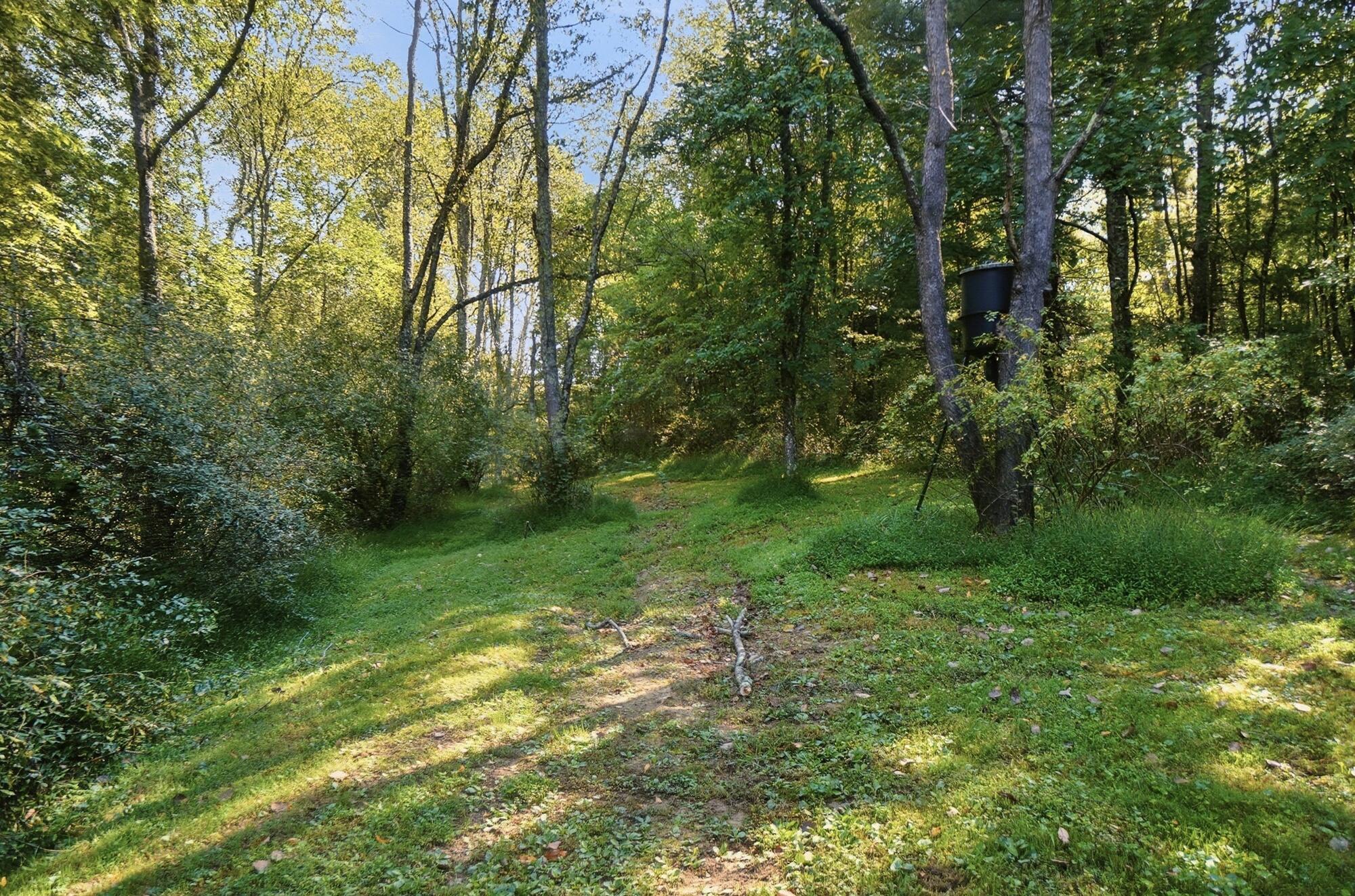 37775 Coonville Road Property Photo 105