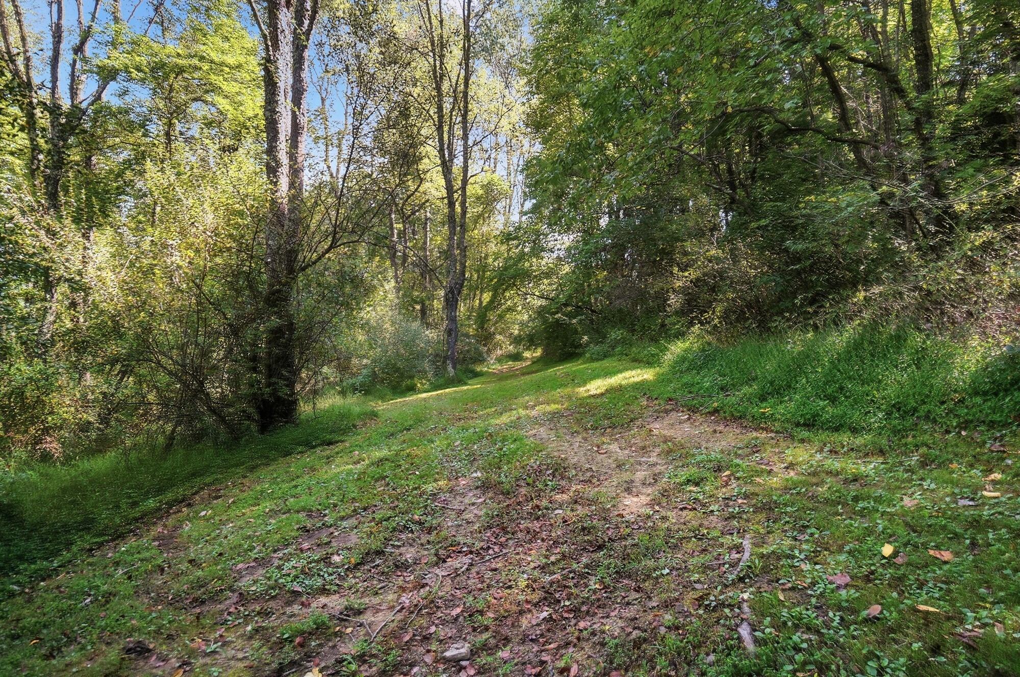 37775 Coonville Road Property Photo 107
