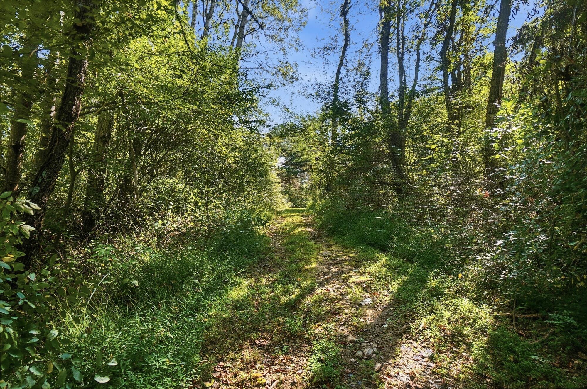 37775 Coonville Road Property Photo 108