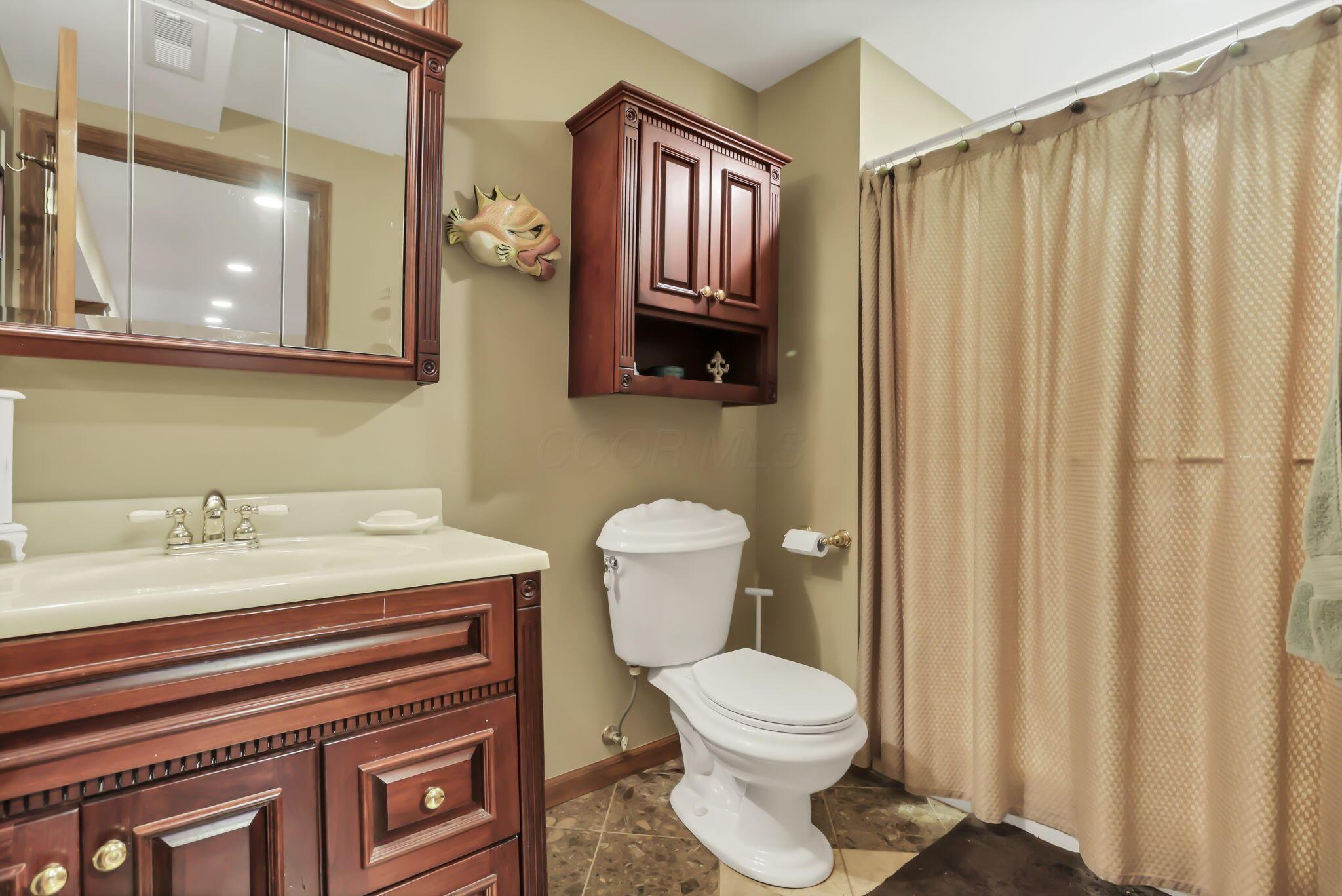 1117 Limberlost Court Property Photo 57