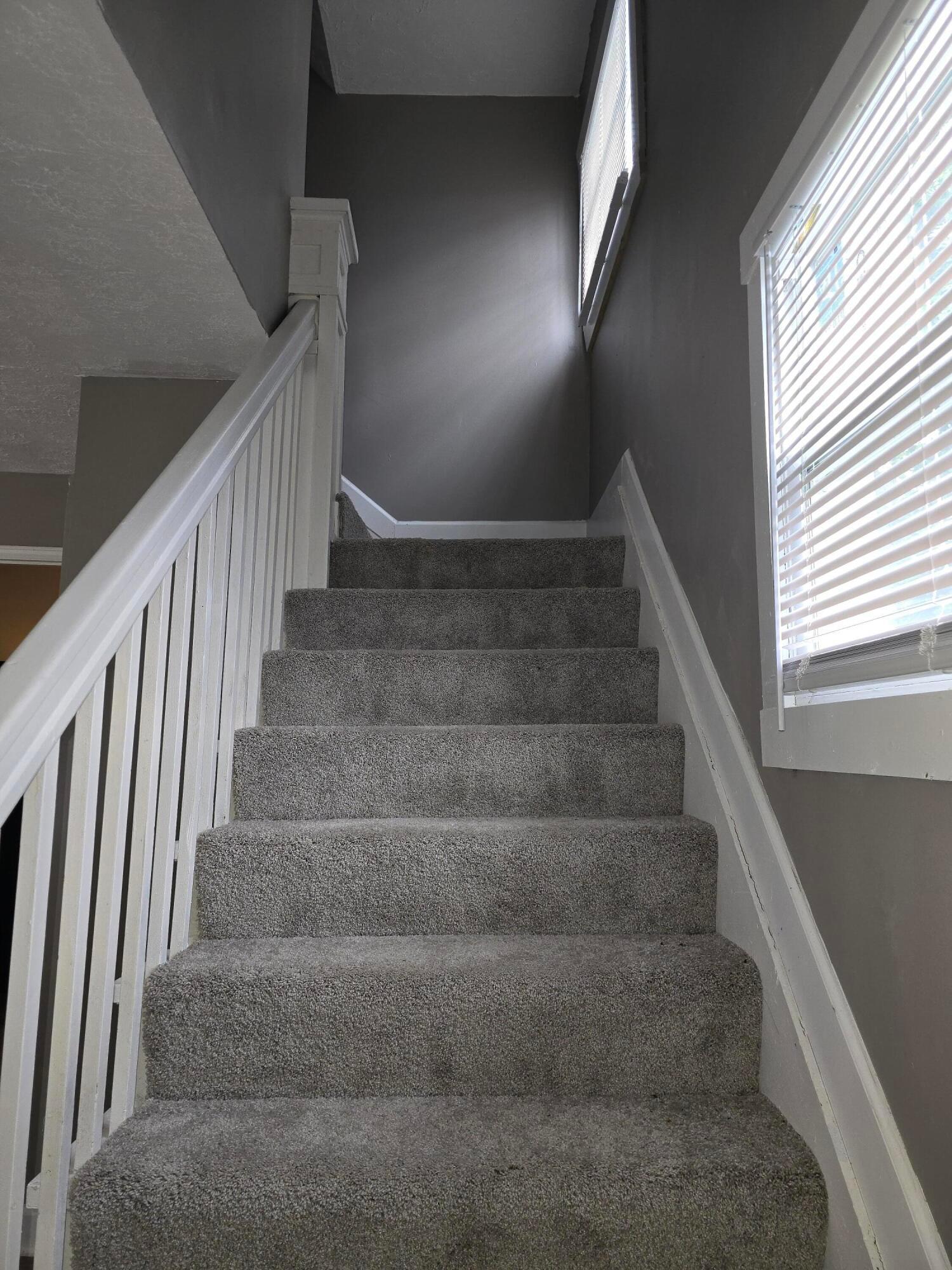 28 Cameron Avenue Property Photo 13
