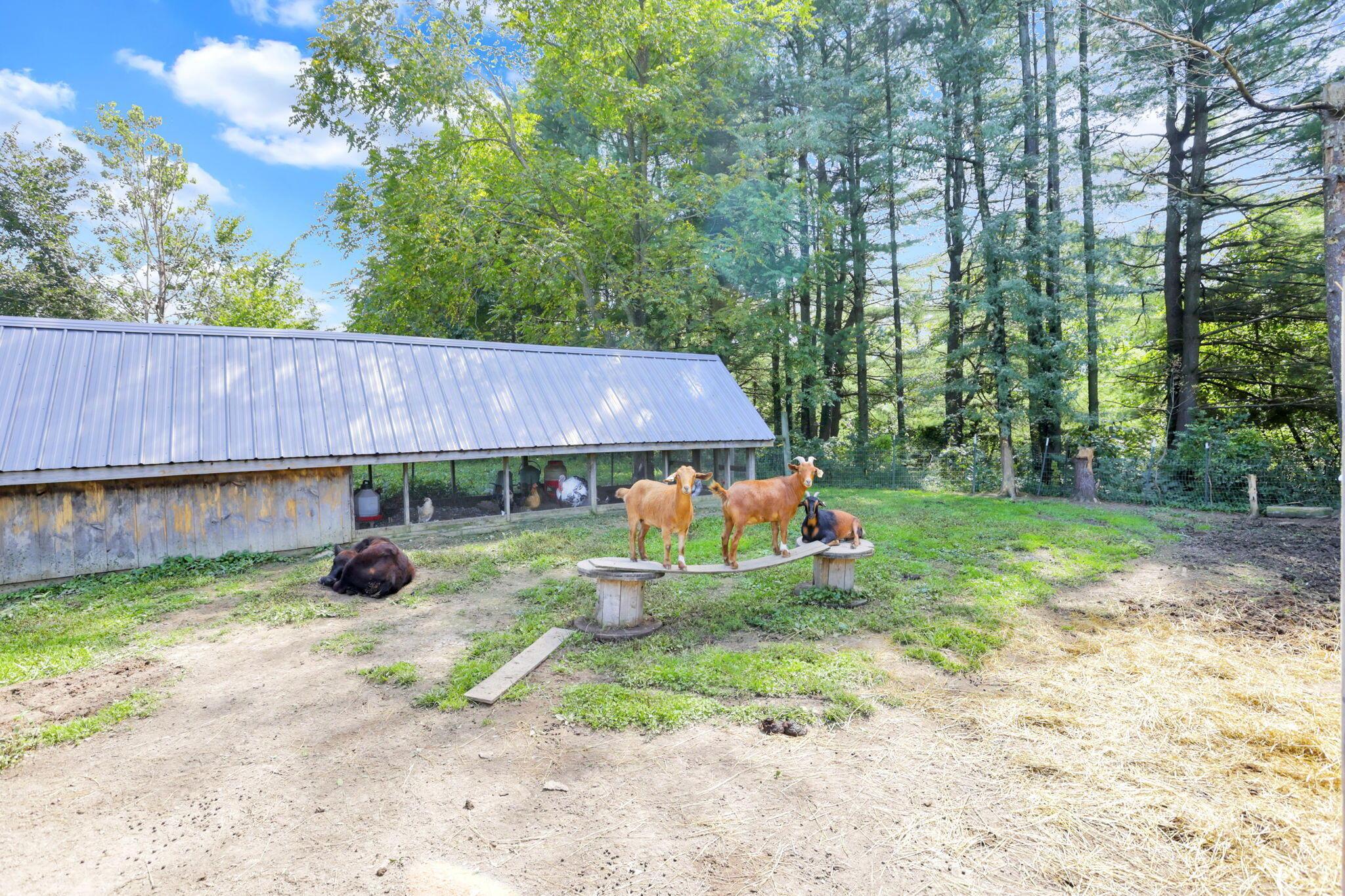 14300 Mount Perry Road Property Photo 72