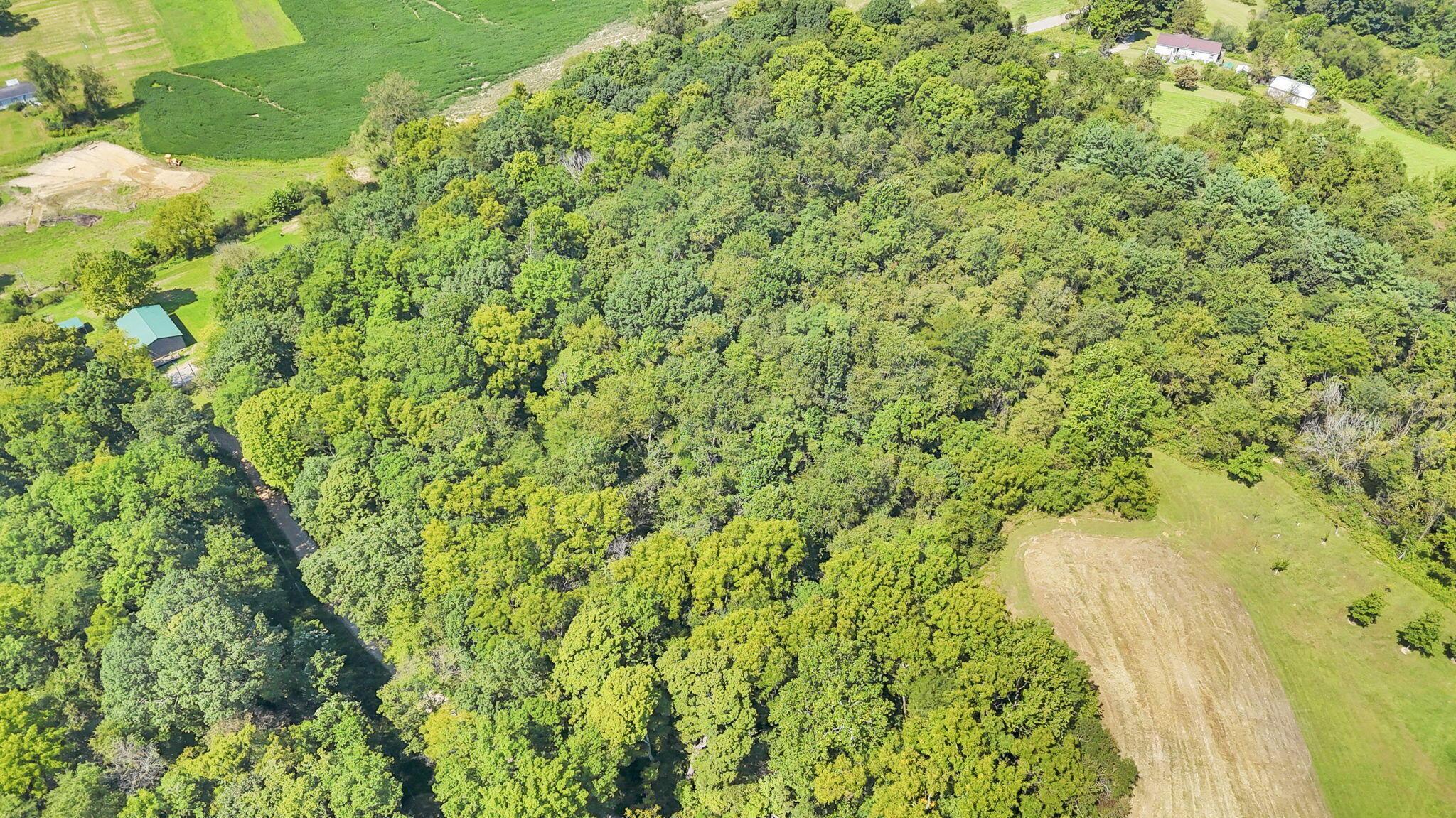14300 Mount Perry Road Property Photo 86