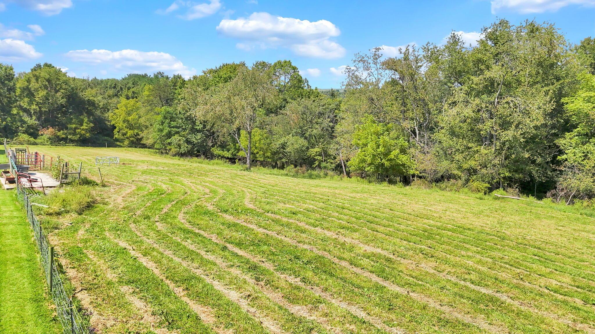 14300 Mount Perry Road Property Photo 92