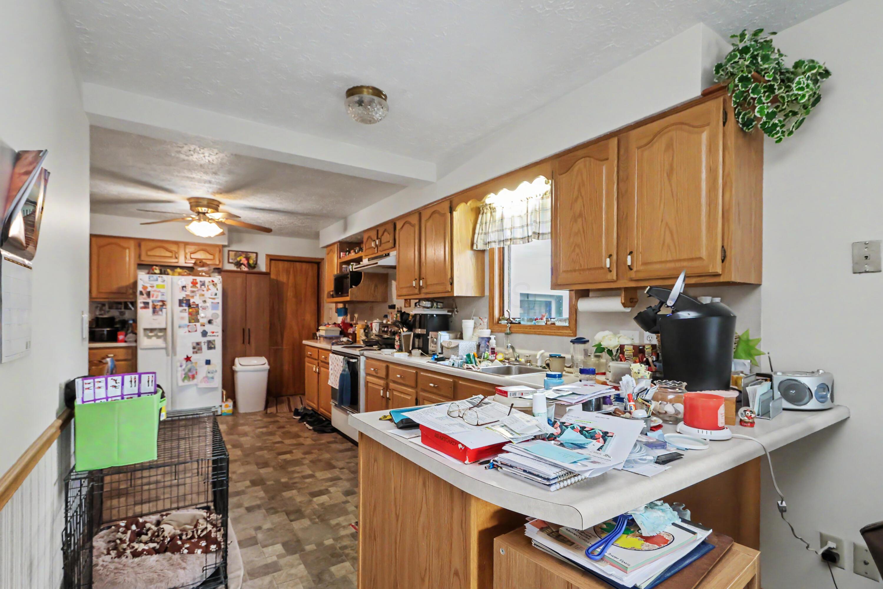 133 Mansfield Avenue Property Photo 8
