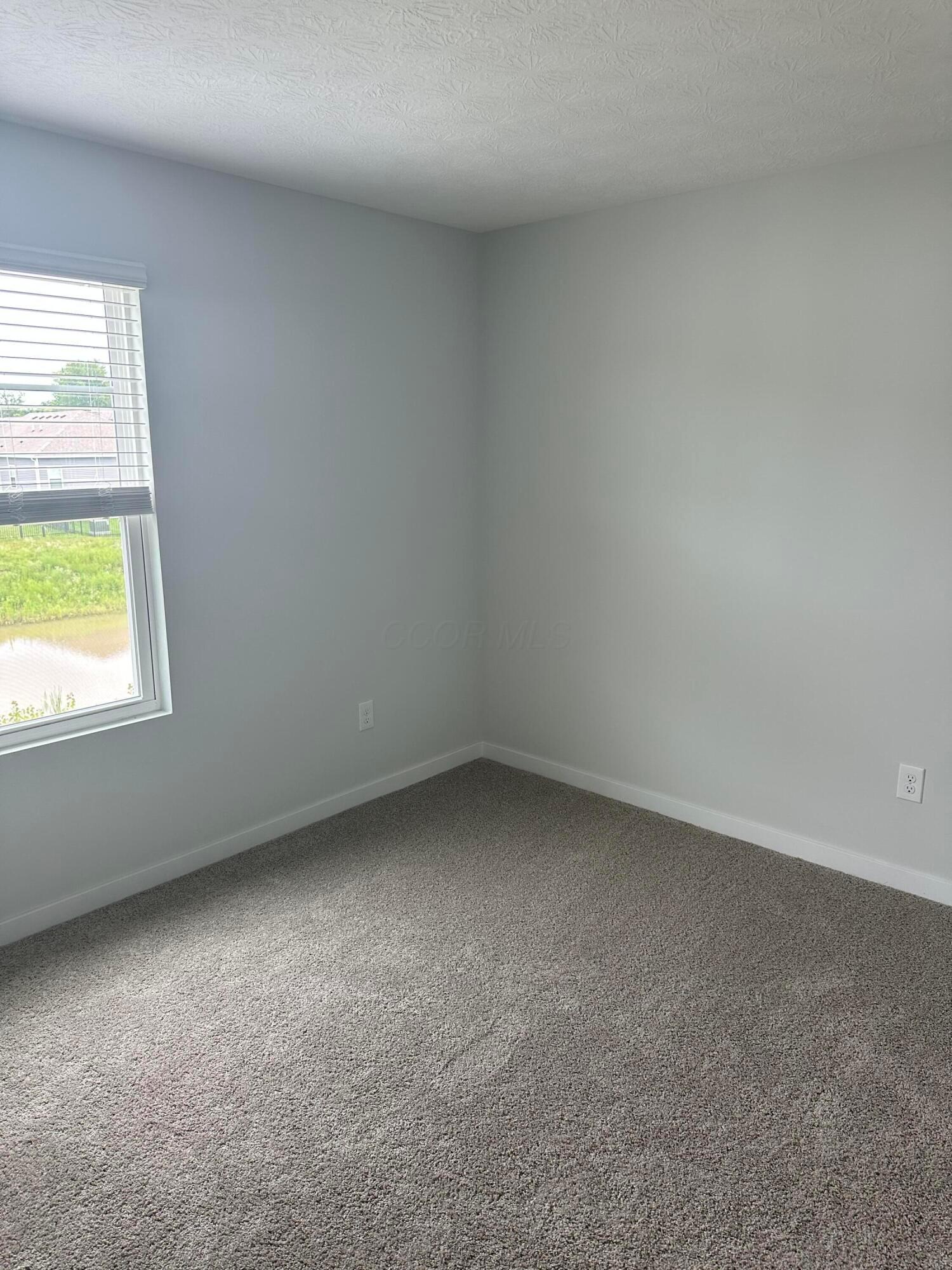 226033405 Property Photo 14